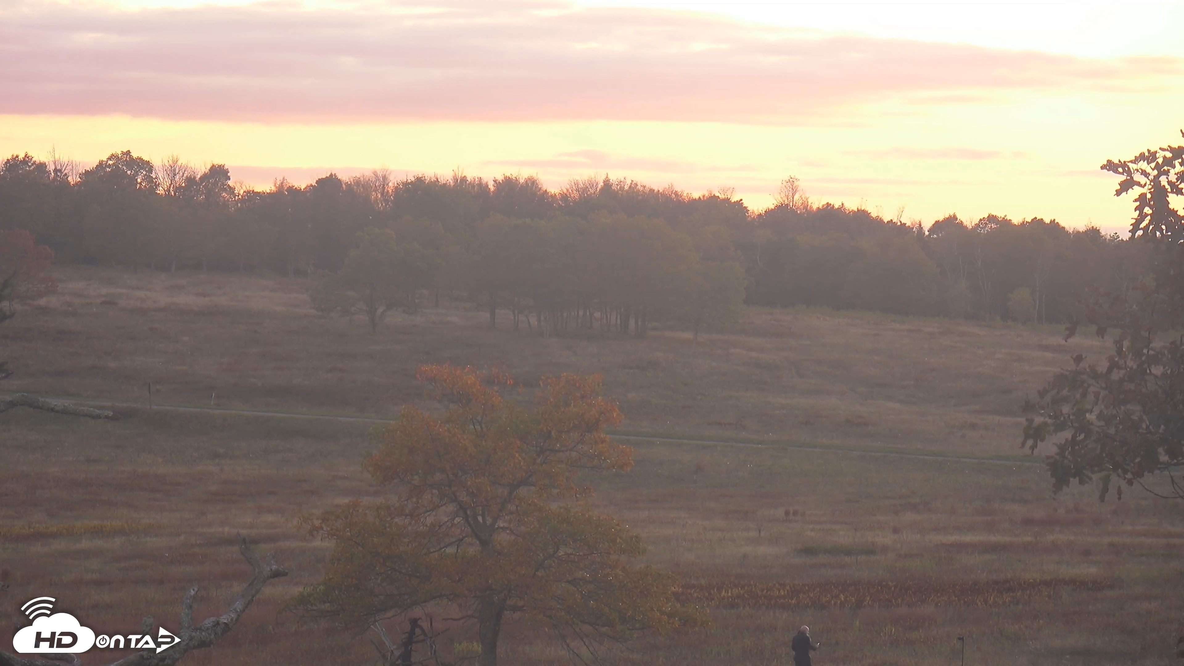 Snapshot of Shenandoah National Park Big Meadow Live Cam taken Oct 10, 2025, 6:40pm EDT