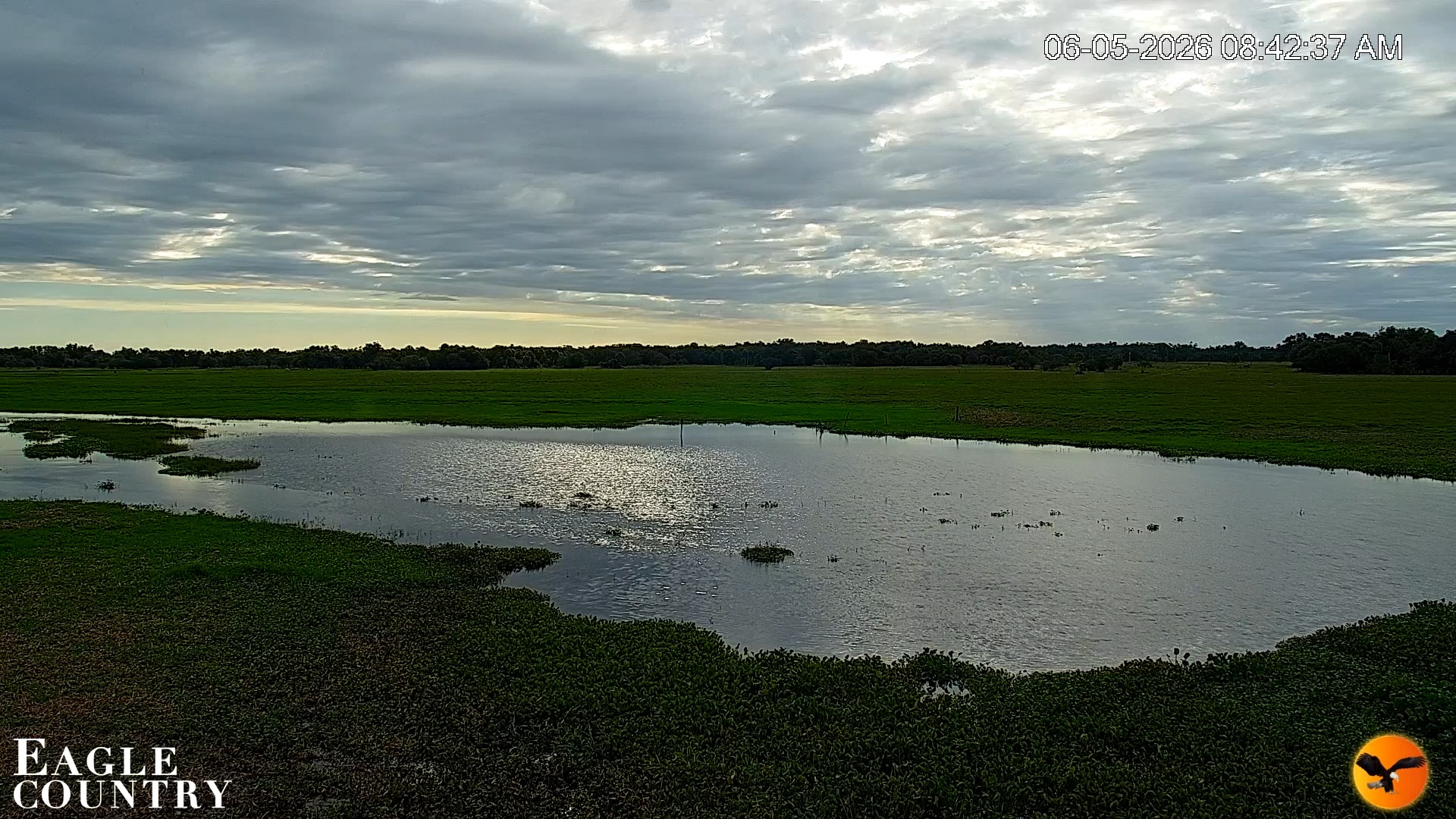 Snapshot of Southwest Florida River Wildlife Live Cams taken Jun 5, 2026, 8:43am EDT