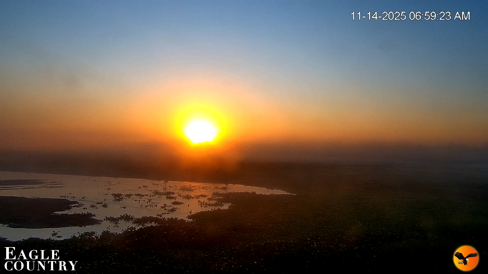 Snapshot of Southwest Florida River Wildlife Live Cams taken Nov 14, 2025, 7:00am EST