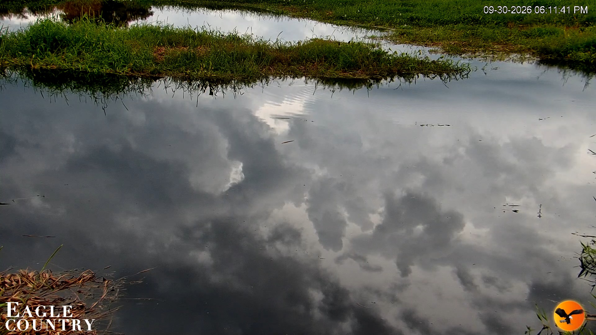 Snapshot of Southwest Florida River Wildlife Live Cams taken Sep 30, 2026, 6:12pm EDT