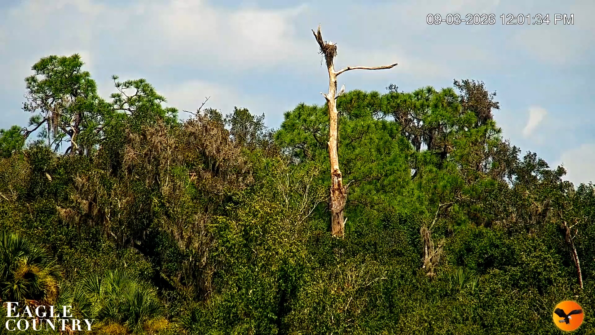 Snapshot of Southwest Florida River Wildlife Live Cams taken Sep 3, 2026, 12:02pm EDT
