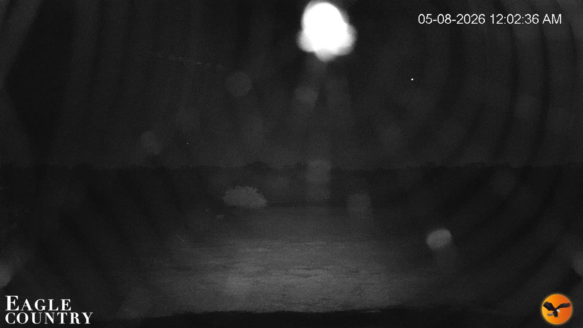 Snapshot of Southwest Florida River Wildlife Live Cams taken May 8, 2026, 12:04am EDT