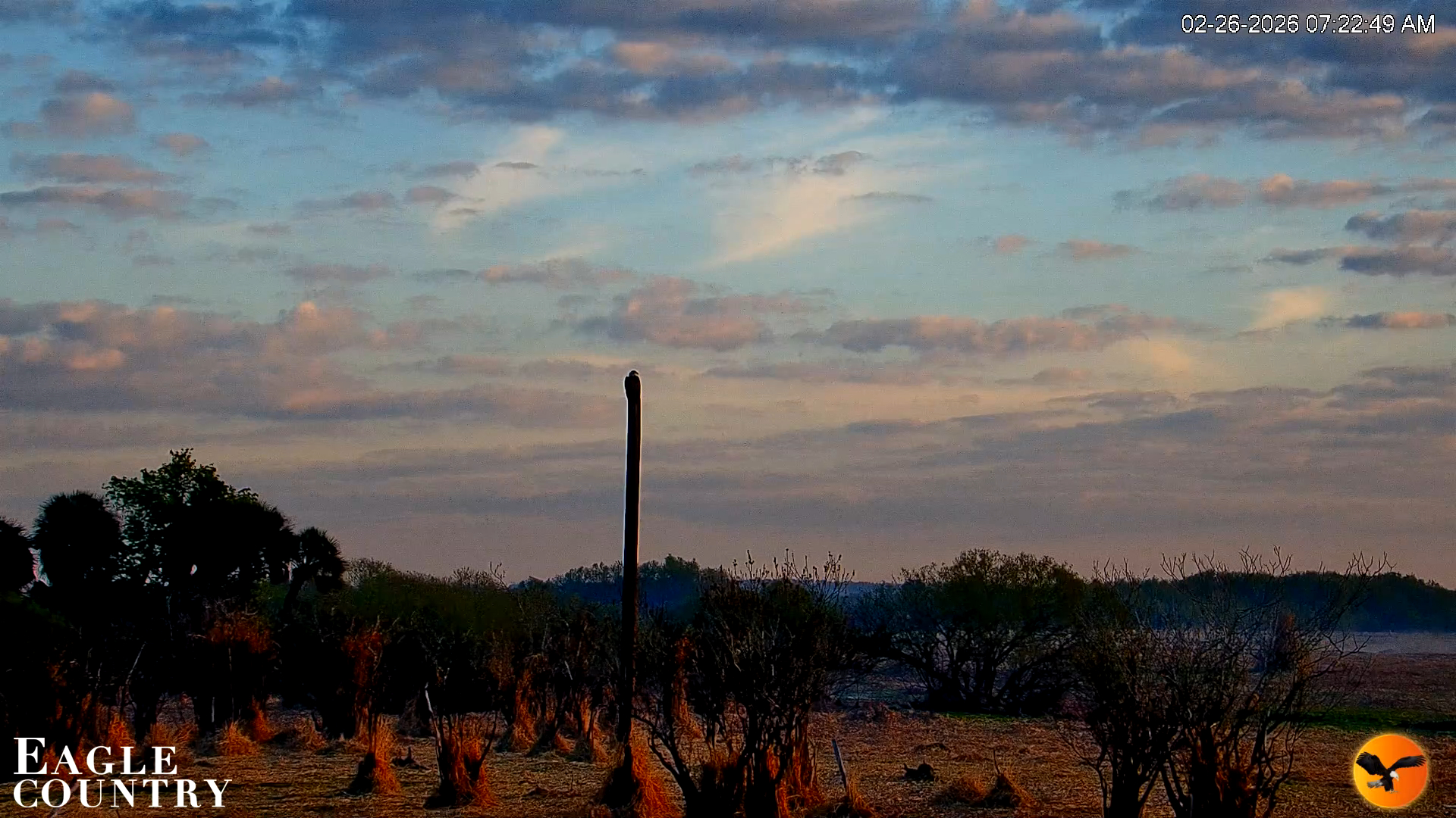 Snapshot of Southwest Florida River Wildlife Live Cams taken Feb 26, 2026, 7:23am EST