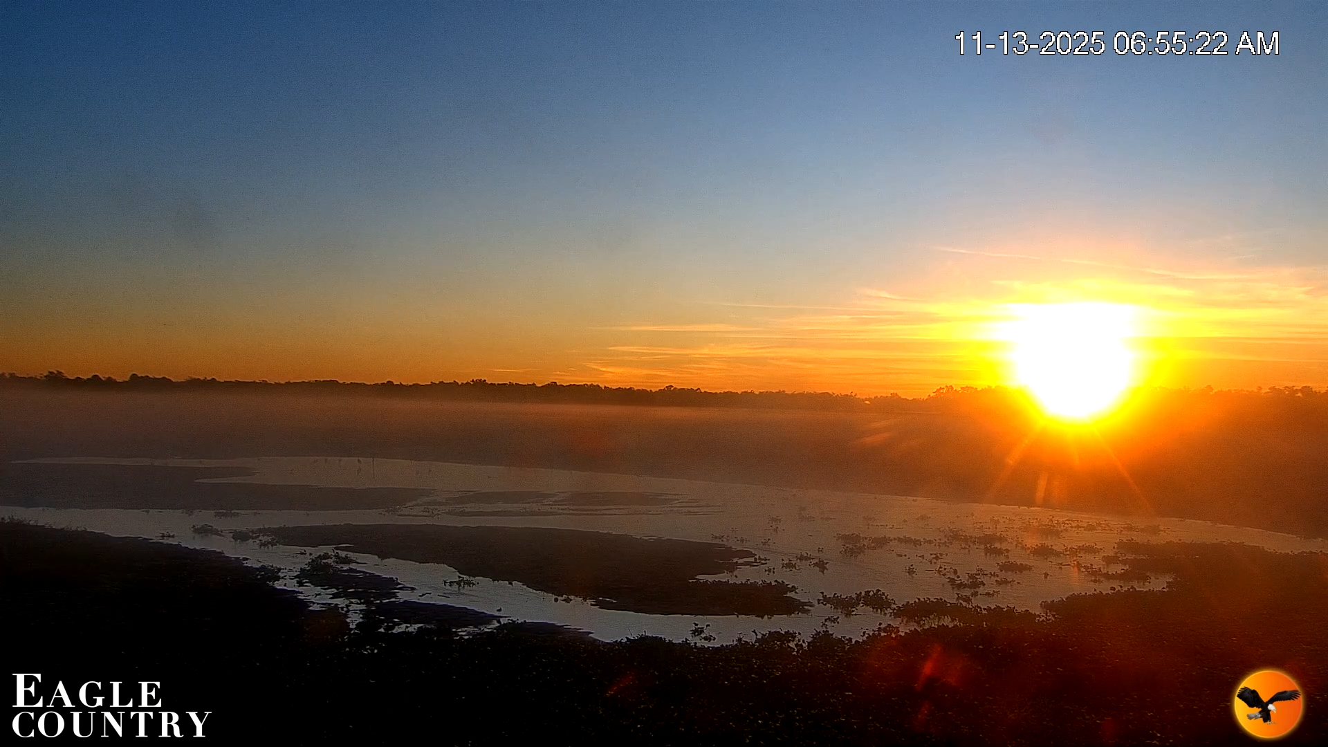 Snapshot of Southwest Florida River Wildlife Live Cams taken Nov 13, 2025, 6:56am EST