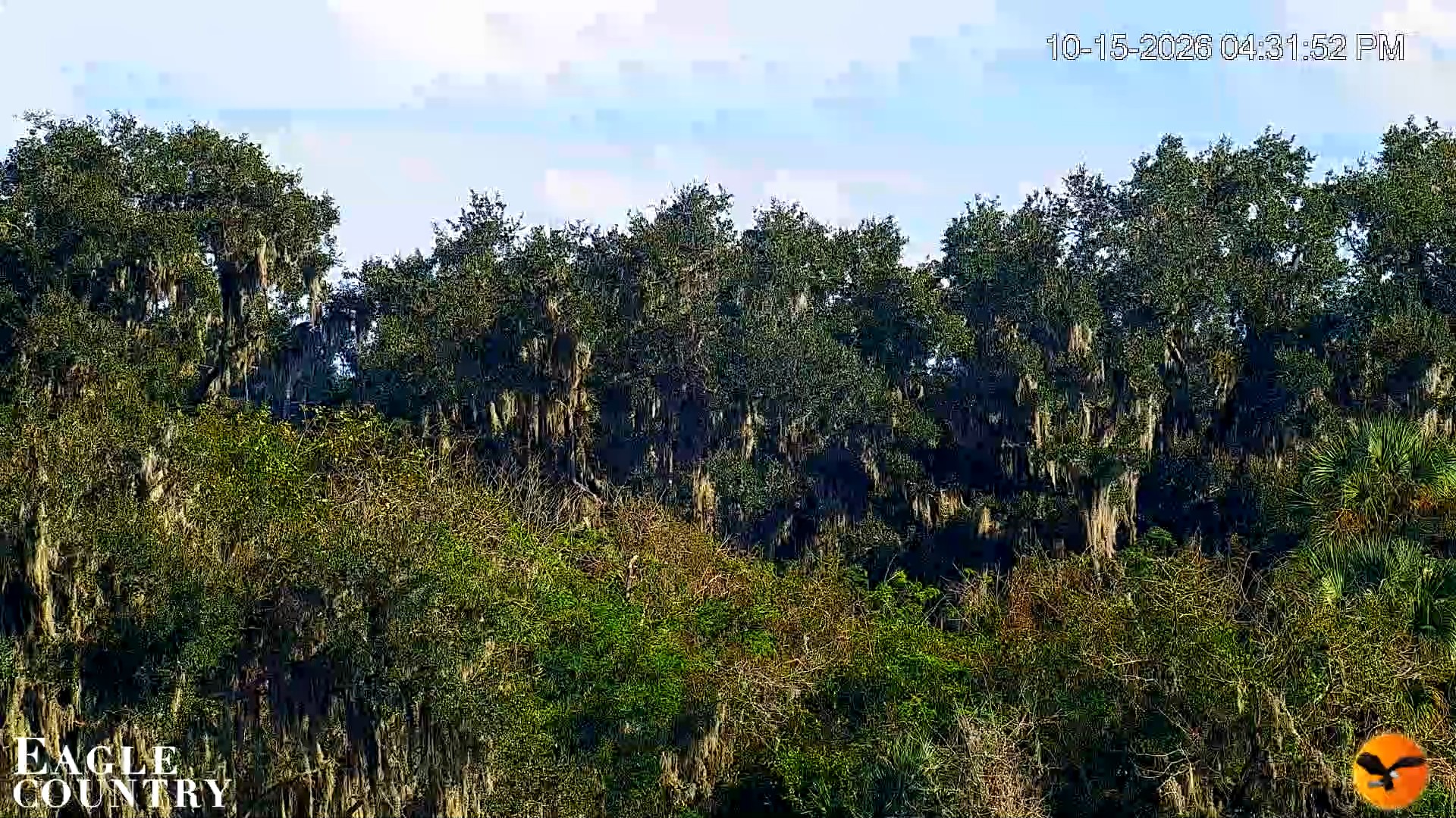 Snapshot of Southwest Florida River Wildlife Live Cams taken Oct 15, 2026, 4:32pm EDT
