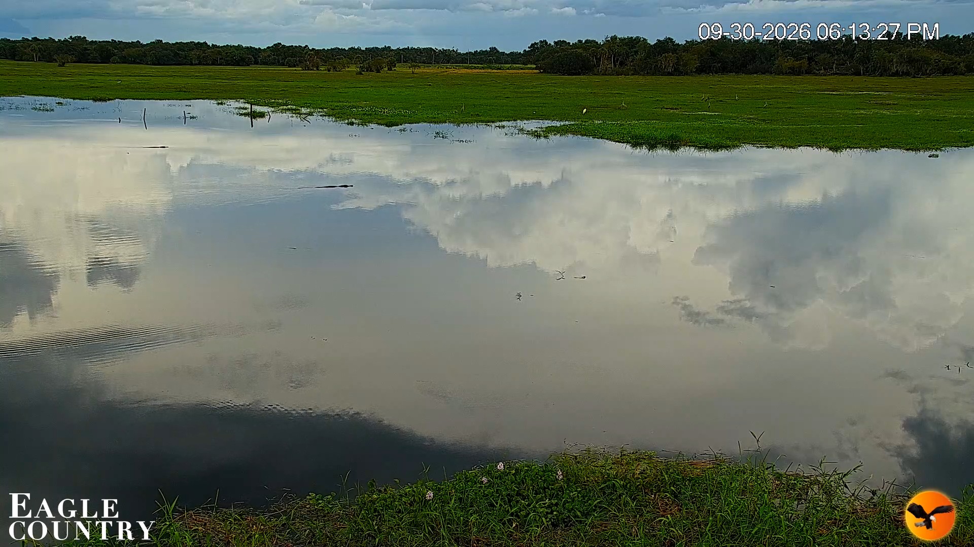 Snapshot of Southwest Florida River Wildlife Live Cams taken Sep 30, 2026, 6:14pm EDT