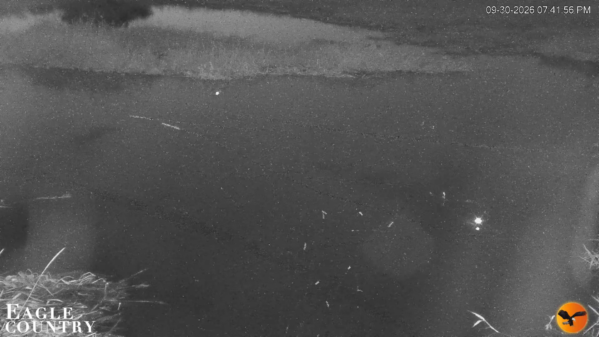 Snapshot of Southwest Florida River Wildlife Live Cams taken Sep 30, 2026, 7:42pm EDT