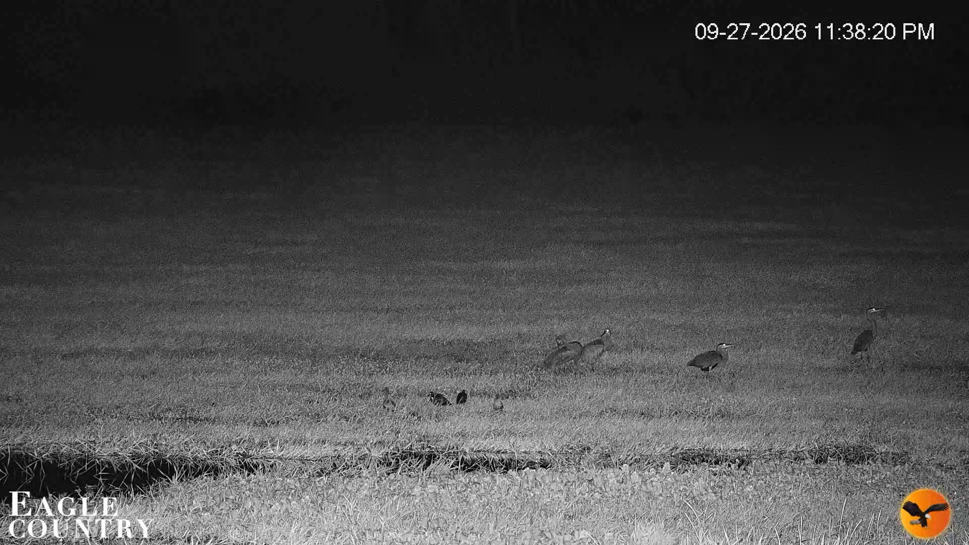 Snapshot of Southwest Florida River Wildlife Live Cams taken Sep 27, 2026, 11:39pm EDT
