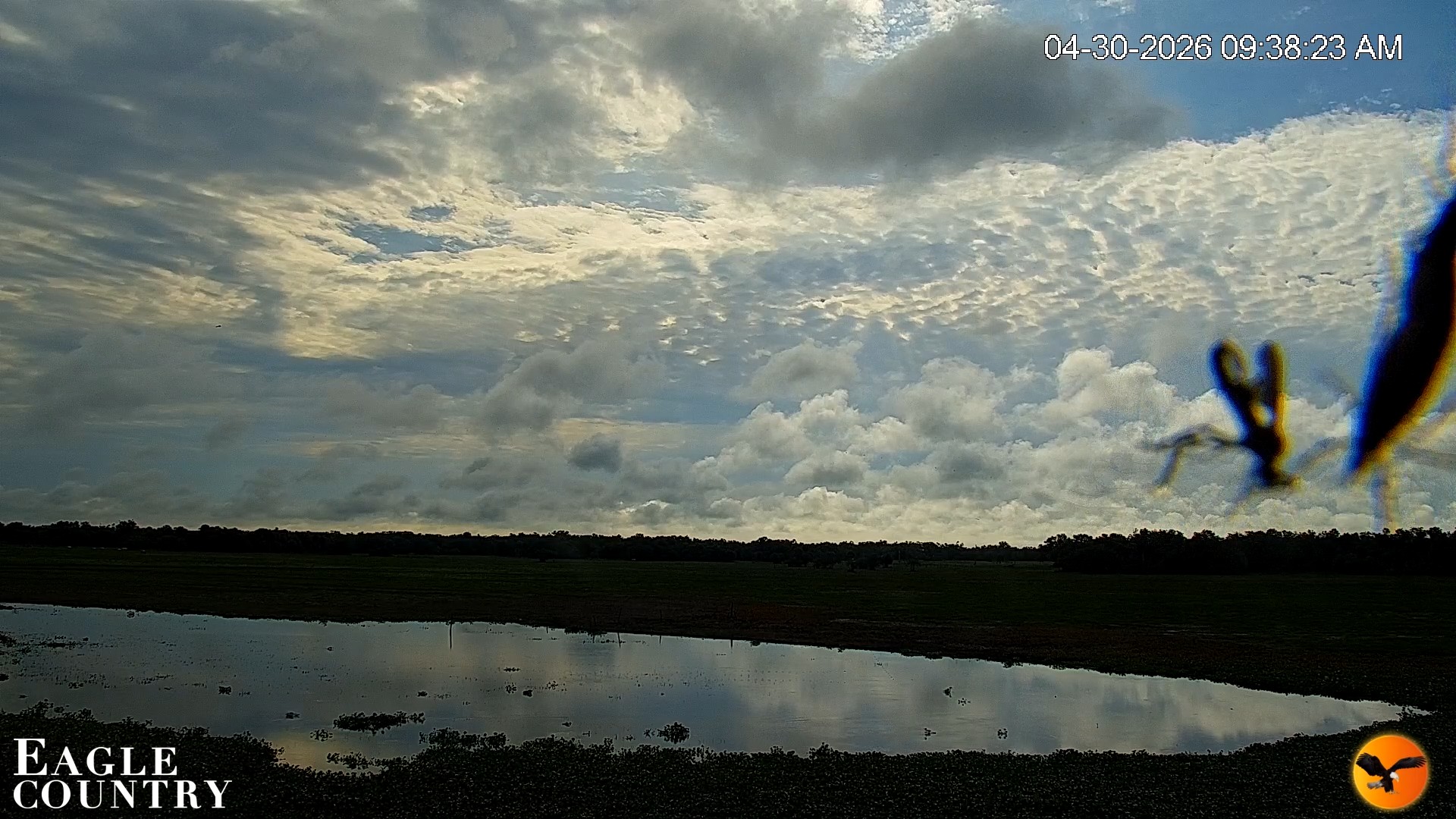 Snapshot of Southwest Florida River Wildlife Live Cams taken Apr 30, 2026, 9:40am EDT