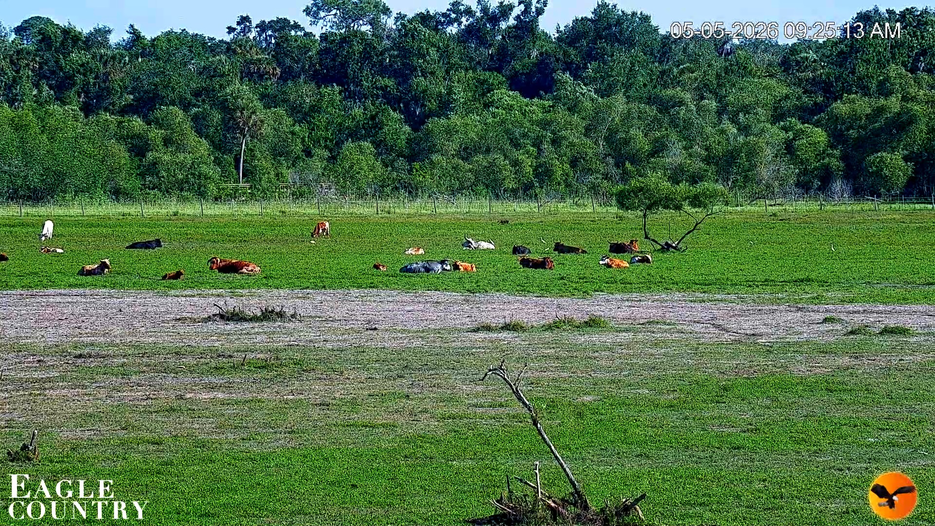 Snapshot of Southwest Florida River Wildlife Live Cams taken May 5, 2026, 9:26am EDT