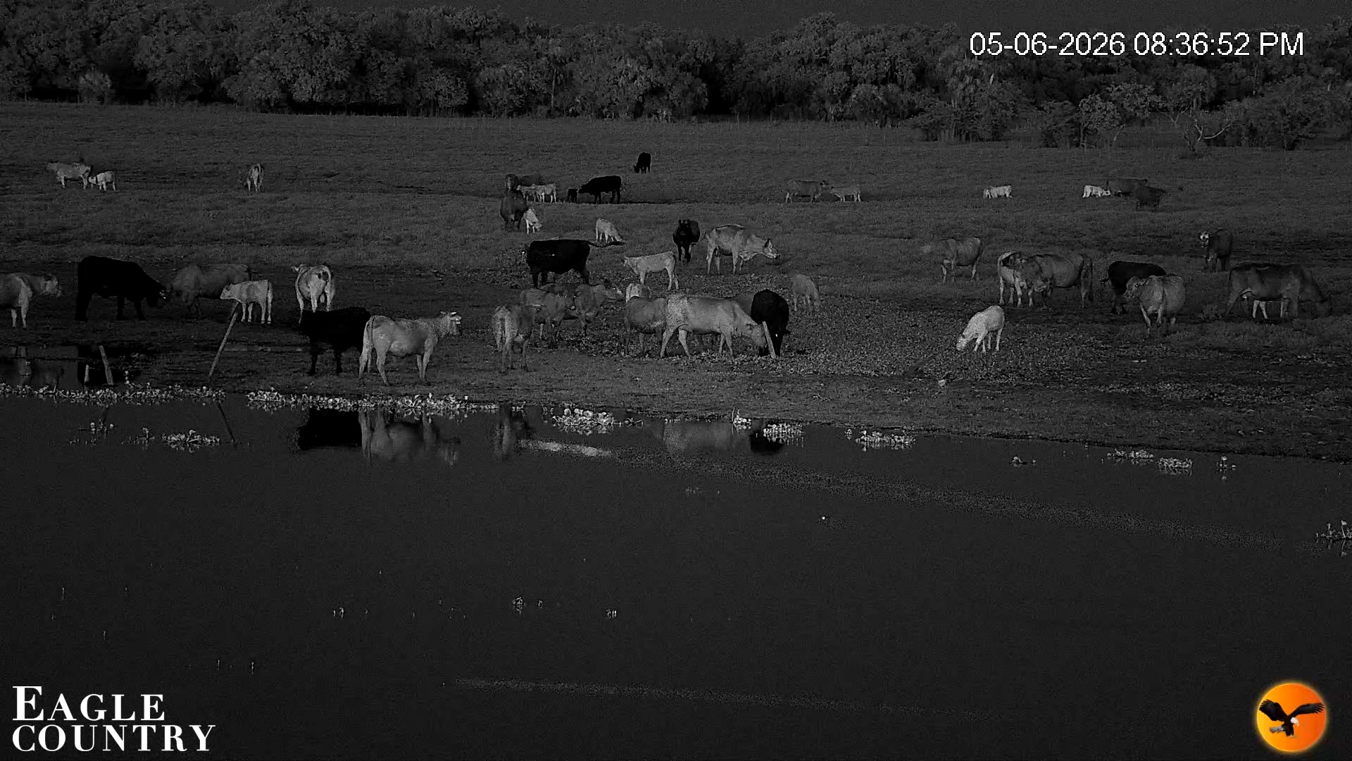 Snapshot of Southwest Florida River Wildlife Live Cams taken May 6, 2026, 11:11pm EDT