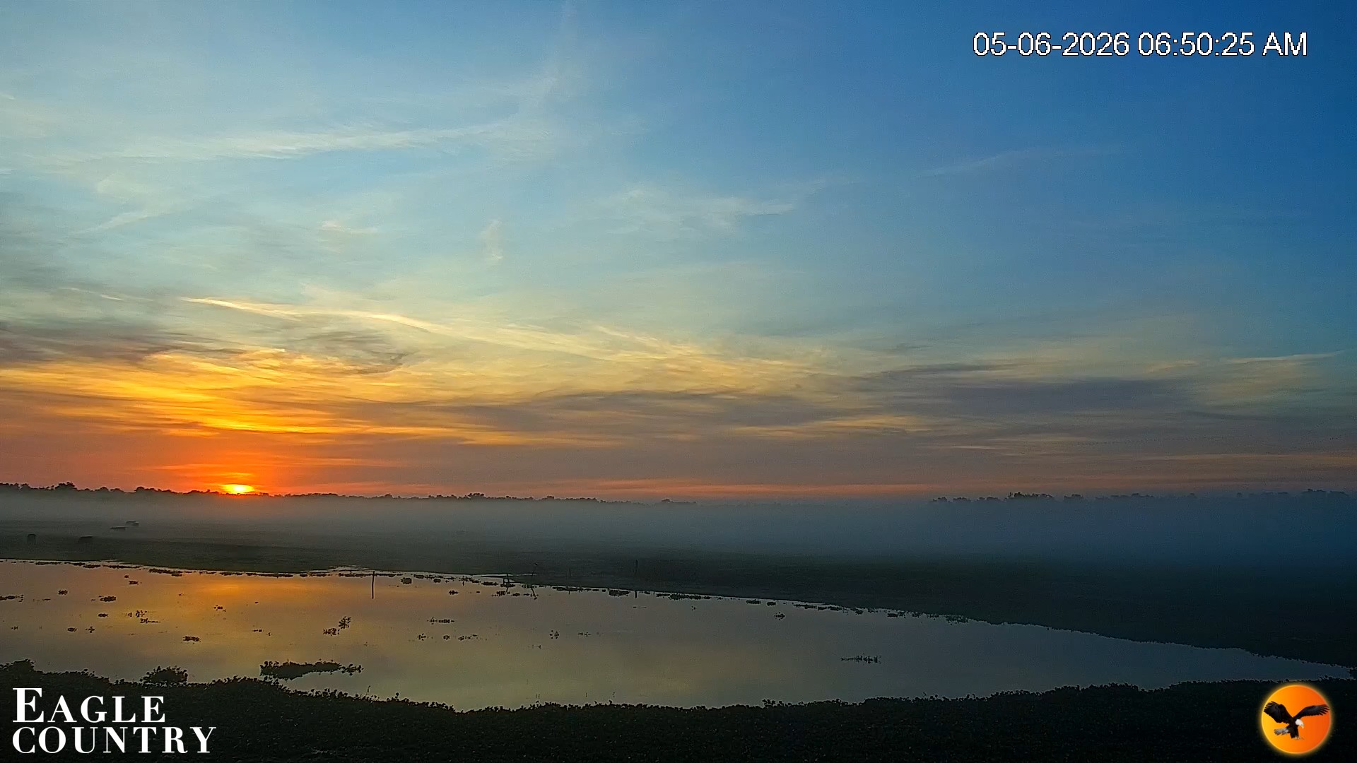 Snapshot of Southwest Florida River Wildlife Live Cams taken May 6, 2026, 6:51am EDT