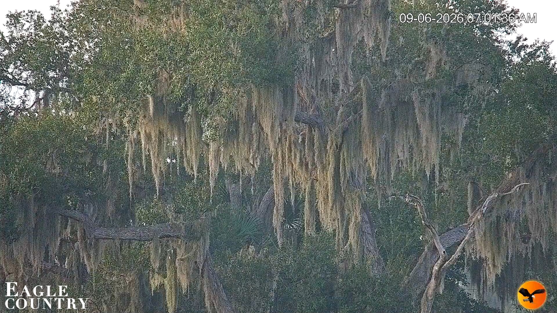 Snapshot of Southwest Florida River Wildlife Live Cams taken Sep 6, 2026, 7:06am EDT