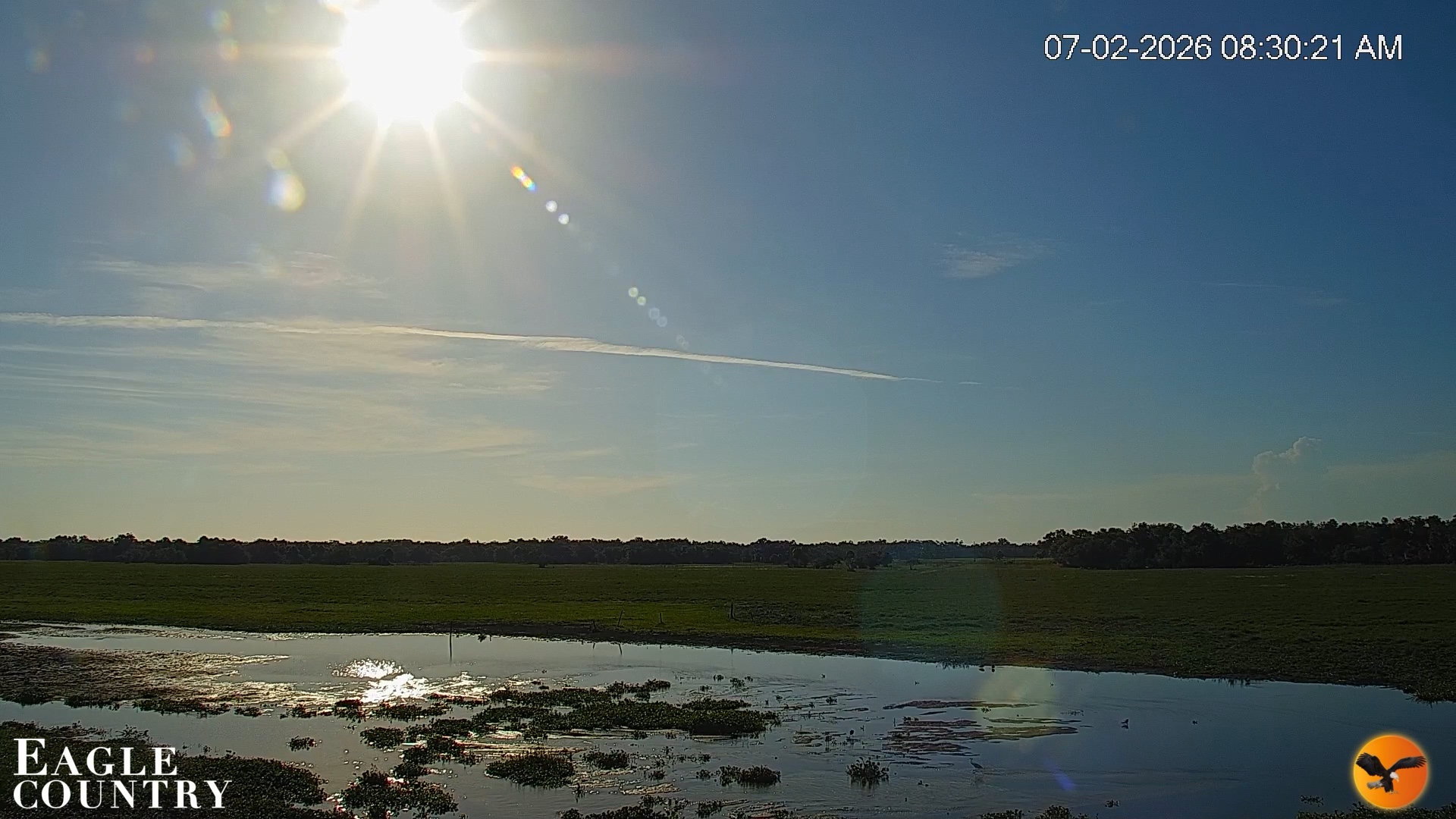 Snapshot of Southwest Florida River Wildlife Live Cams taken Jul 2, 2026, 8:30am EDT