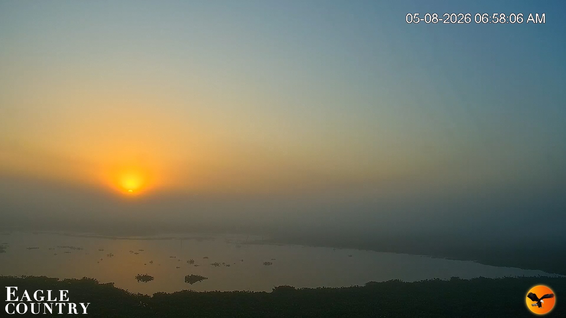 Snapshot of Southwest Florida River Wildlife Live Cams taken May 8, 2026, 6:59am EDT