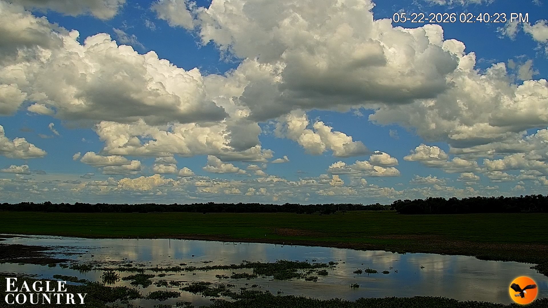 Snapshot of Southwest Florida River Wildlife Live Cams taken May 22, 2026, 2:41pm EDT