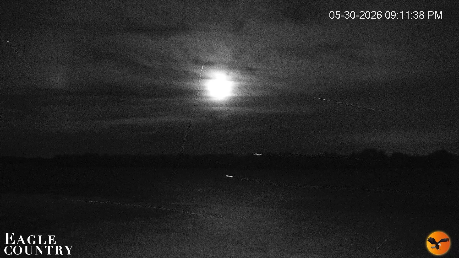 Snapshot of Southwest Florida River Wildlife Live Cams taken May 30, 2026, 9:14pm EDT