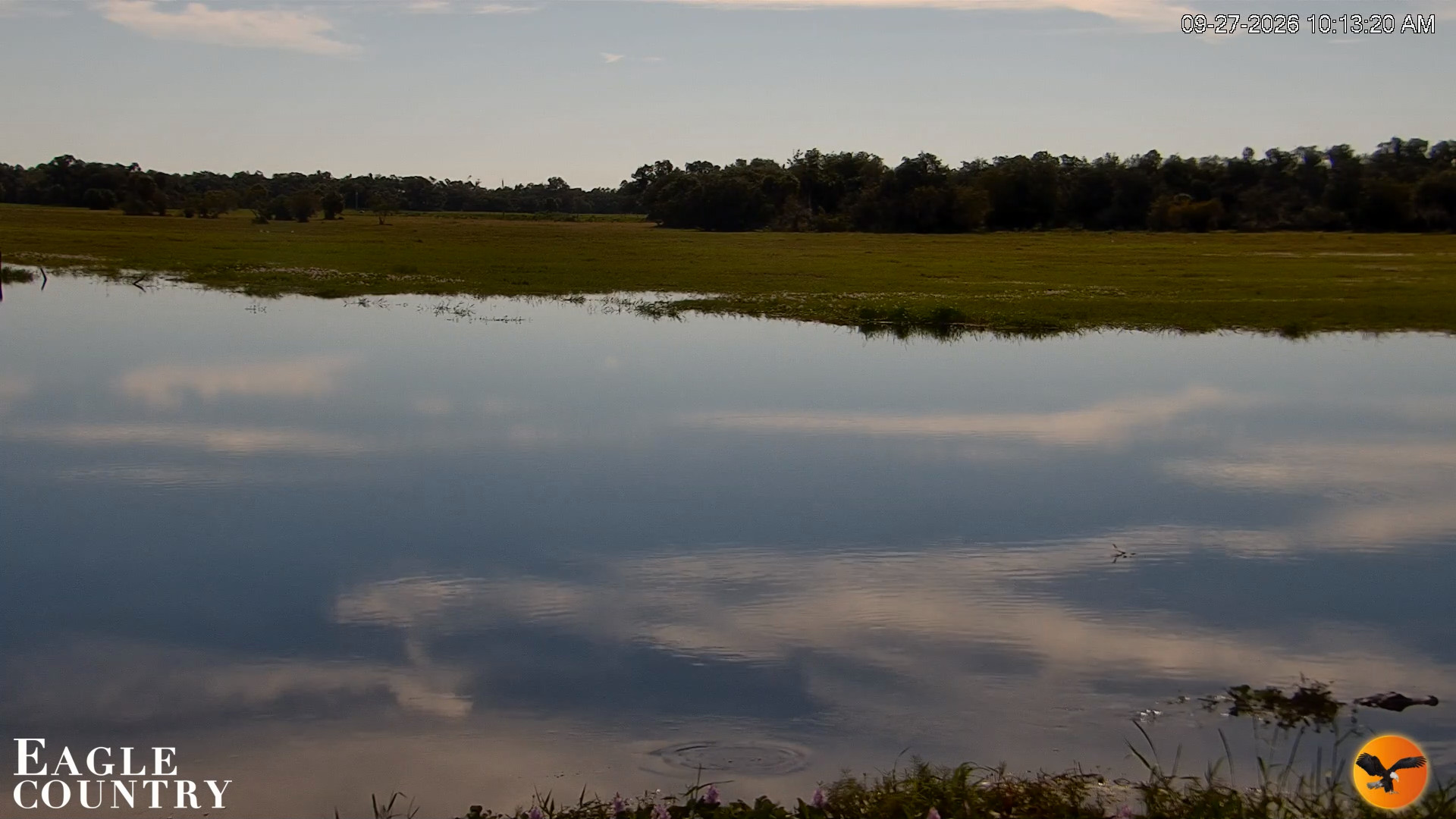 Snapshot of Southwest Florida River Wildlife Live Cams taken Sep 27, 2026, 10:13am EDT