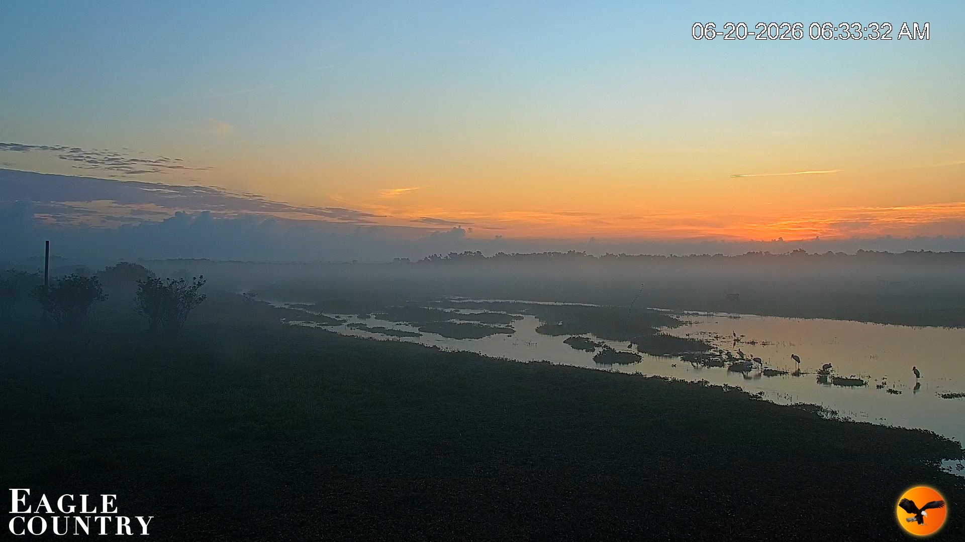 Snapshot of Southwest Florida River Wildlife Live Cams taken Jun 20, 2026, 6:35am EDT
