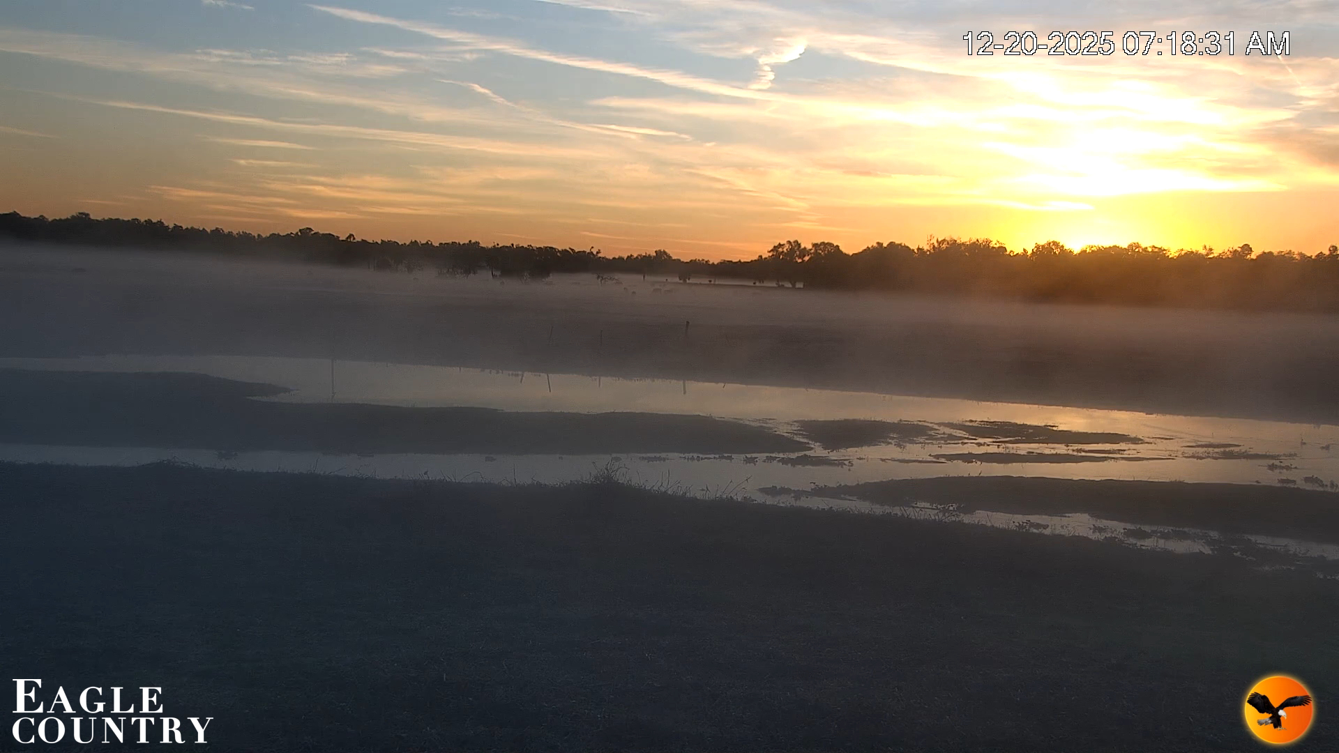 Snapshot of Southwest Florida River Wildlife Live Cams taken Dec 20, 2025, 7:18am EST