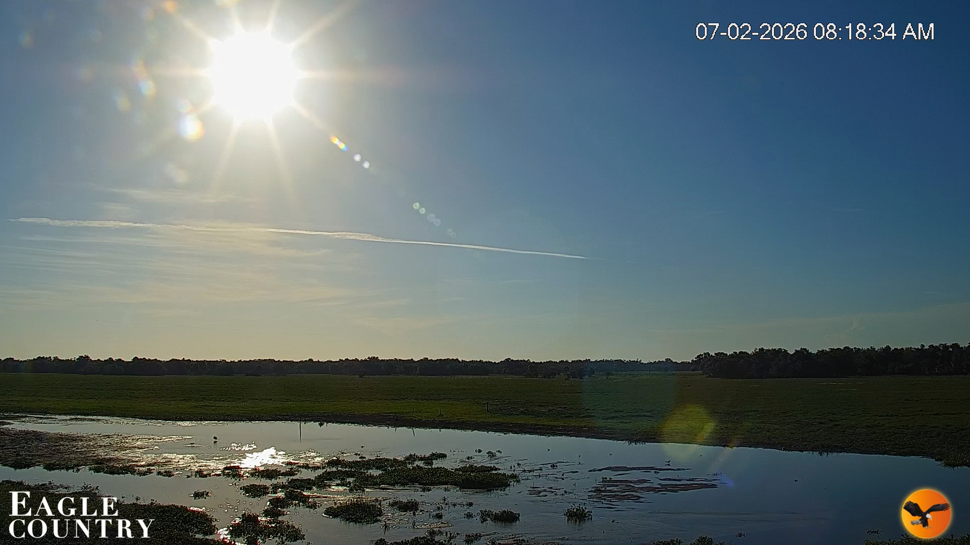 Snapshot of Southwest Florida River Wildlife Live Cams taken Jul 2, 2026, 8:19am EDT