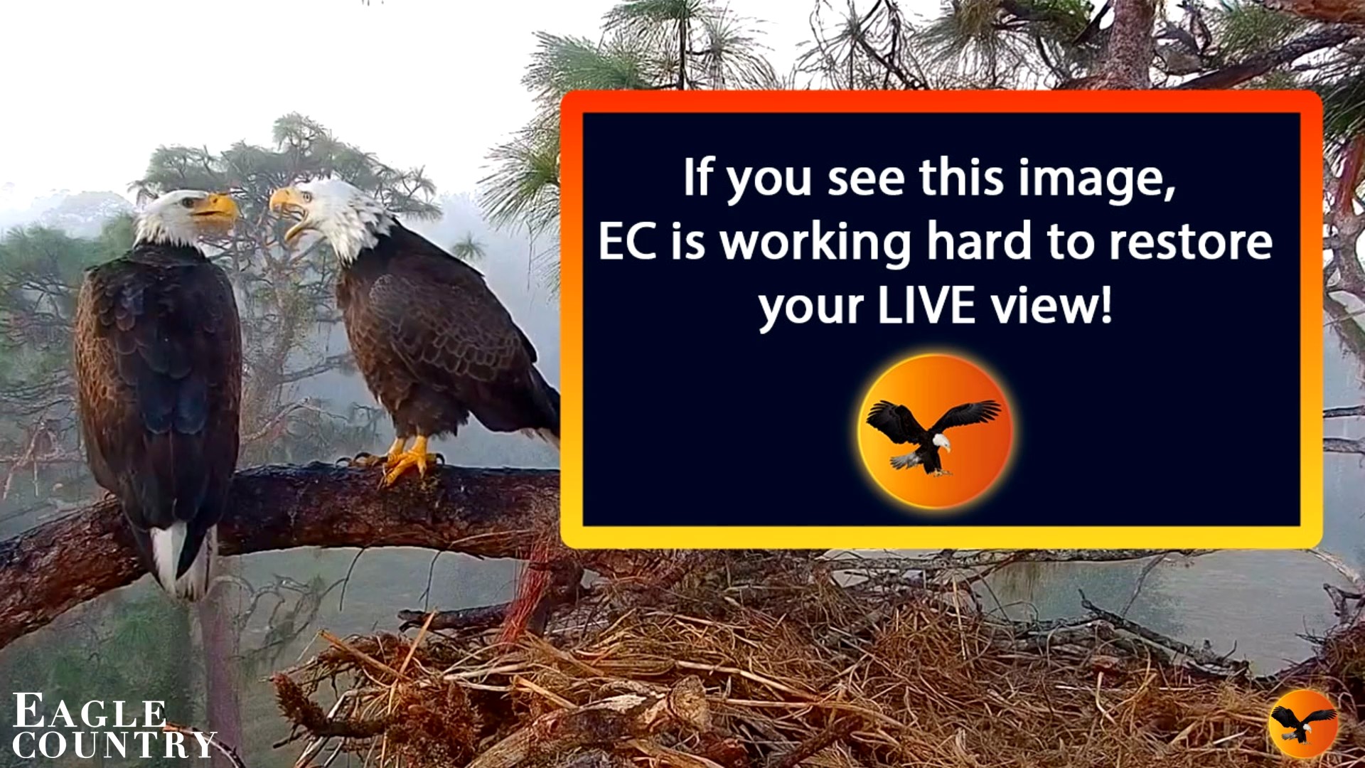Snapshot of Southwest Florida River Wildlife Live Cams taken Sep 30, 2026, 10:25pm EDT