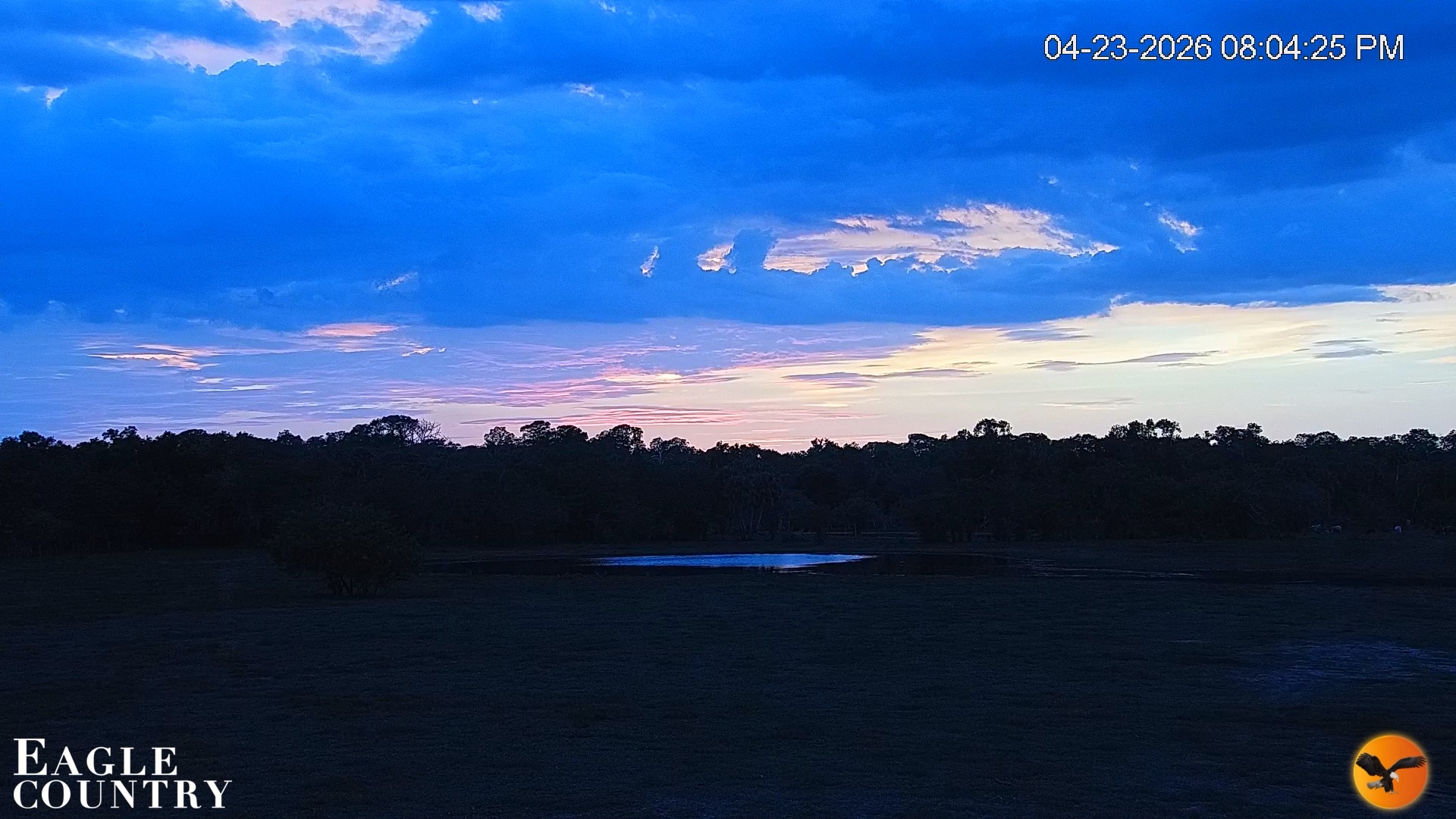 Snapshot of Southwest Florida River Wildlife Live Cams taken Apr 23, 2026, 9:34pm EDT