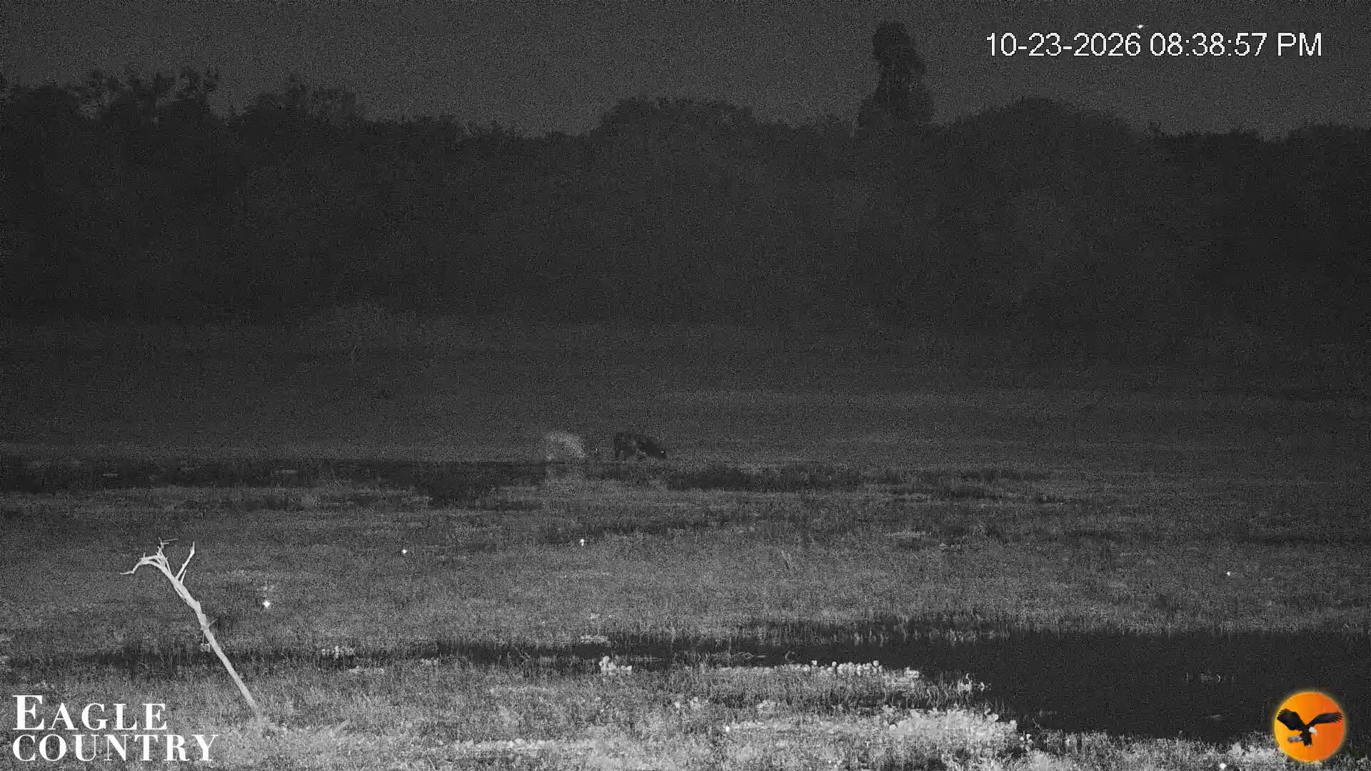 Snapshot of Southwest Florida River Wildlife Live Cams taken Oct 23, 2026, 8:39pm EDT