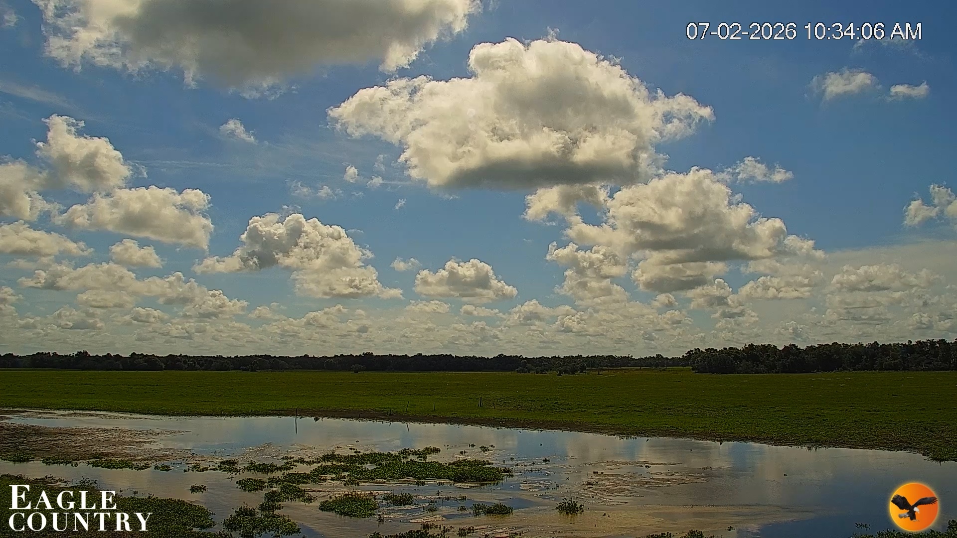 Snapshot of Southwest Florida River Wildlife Live Cams taken Jul 2, 2026, 10:34am EDT