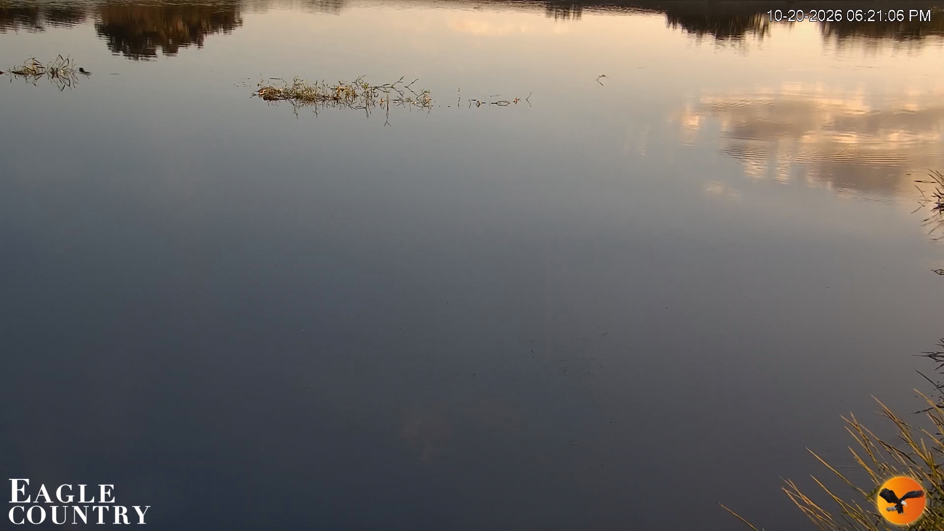Snapshot of Southwest Florida River Wildlife Live Cams taken Oct 20, 2026, 6:21pm EDT