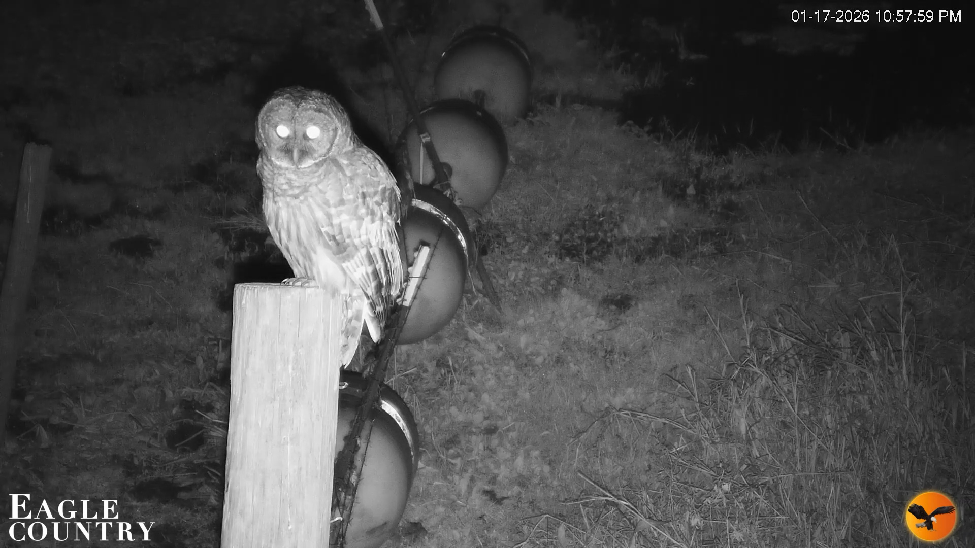 Snapshot of Southwest Florida River Wildlife Live Cams taken Jan 17, 2026, 10:58pm EST