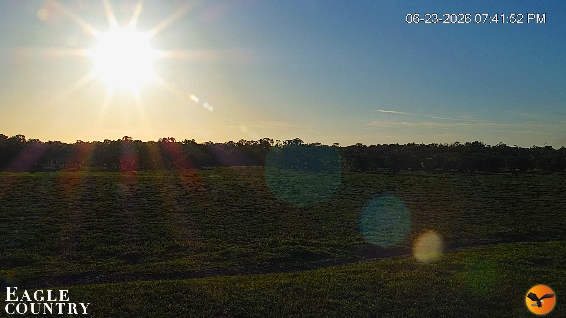 Snapshot of Southwest Florida River Wildlife Live Cams taken Jun 23, 2026, 7:43pm EDT