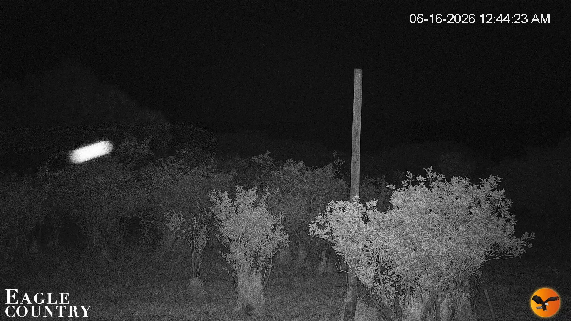 Snapshot of Southwest Florida River Wildlife Live Cams taken Jun 16, 2026, 12:45am EDT