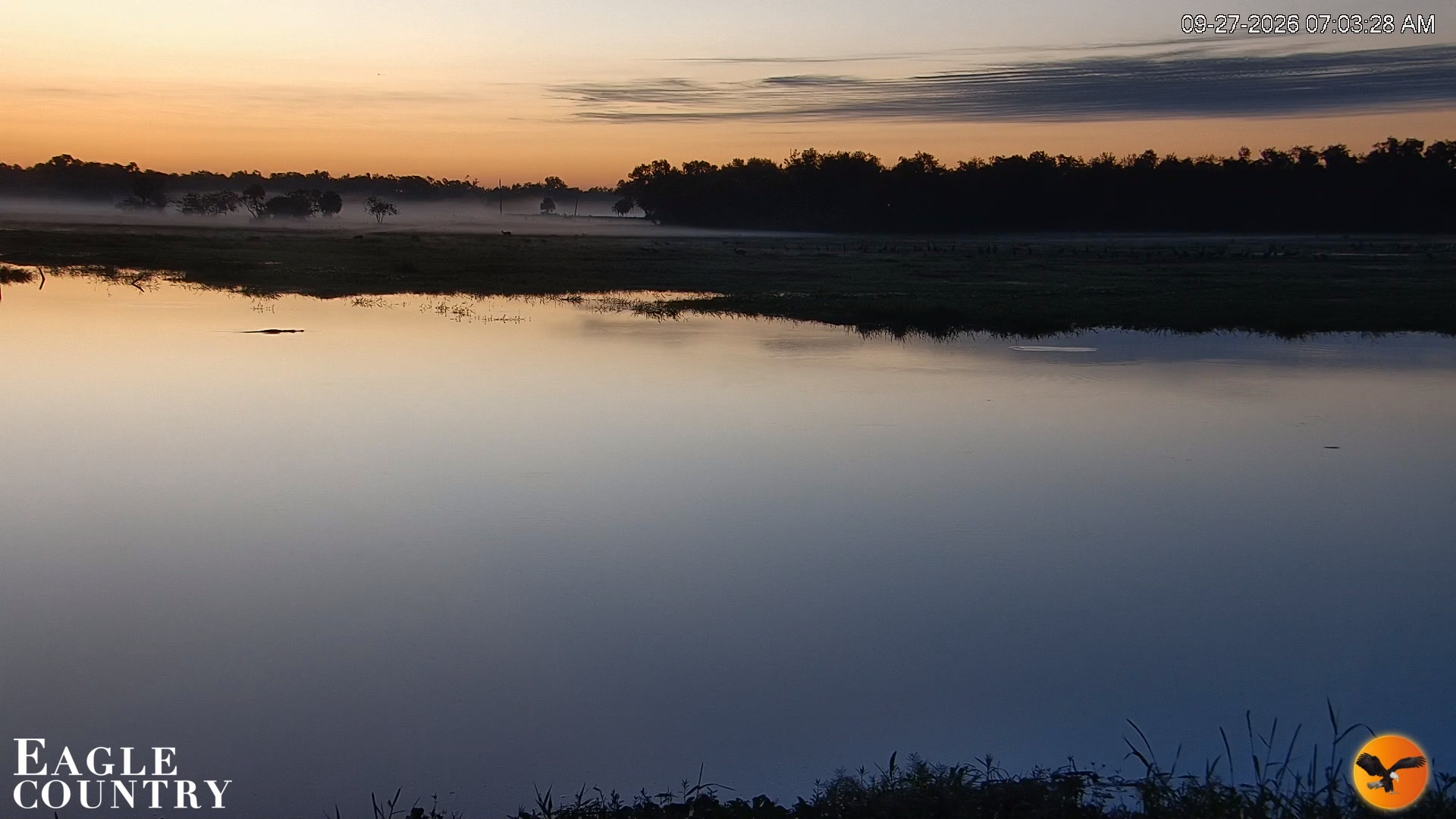 Snapshot of Southwest Florida River Wildlife Live Cams taken Sep 27, 2026, 7:03am EDT