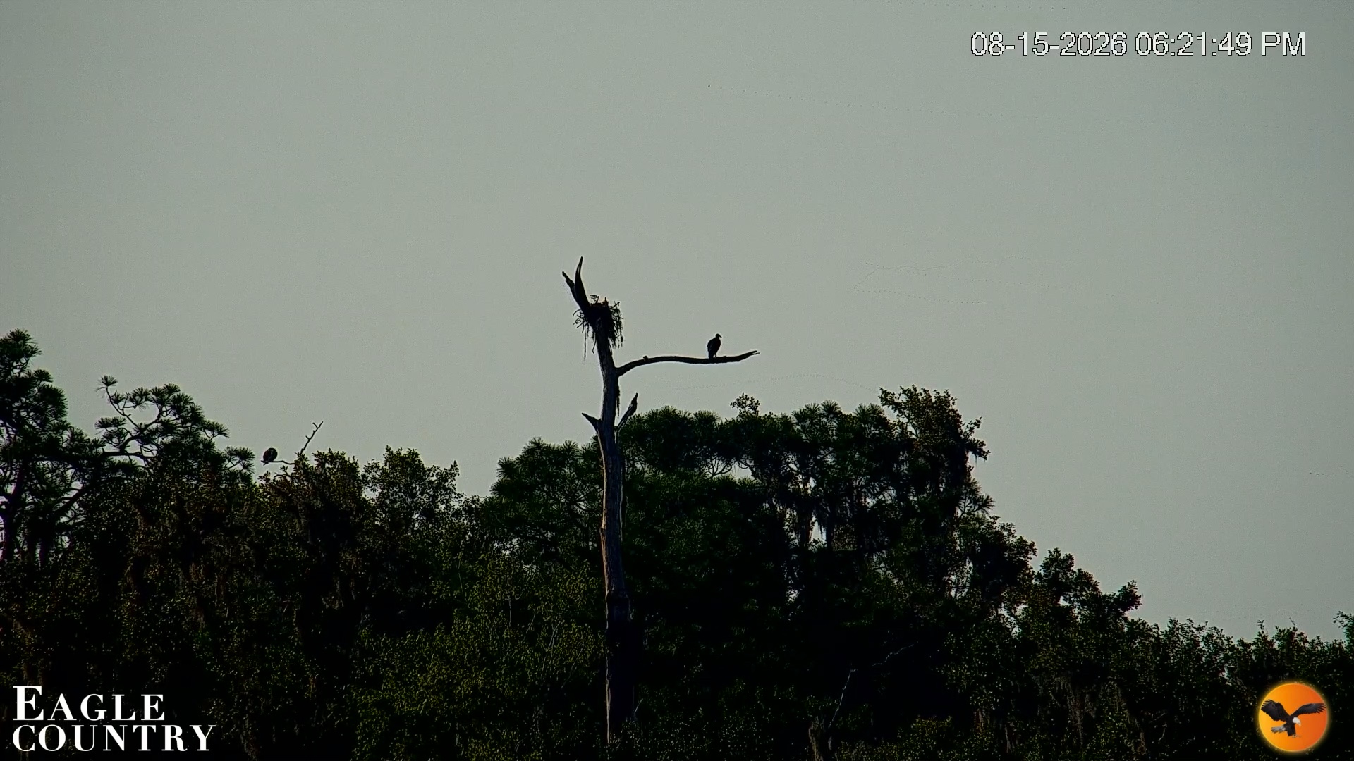 Snapshot of Southwest Florida River Wildlife Live Cams taken Aug 15, 2026, 6:22pm EDT