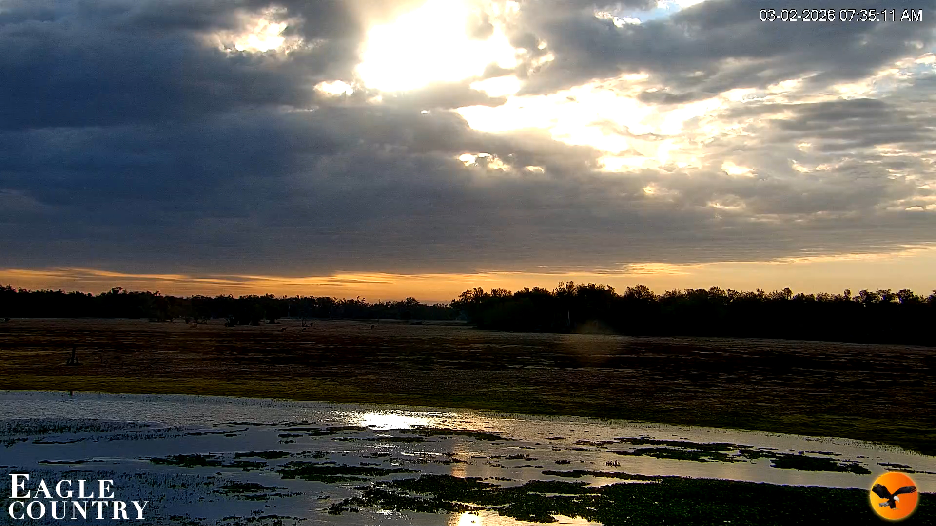 Snapshot of Southwest Florida River Wildlife Live Cams taken Mar 2, 2026, 7:36am EST