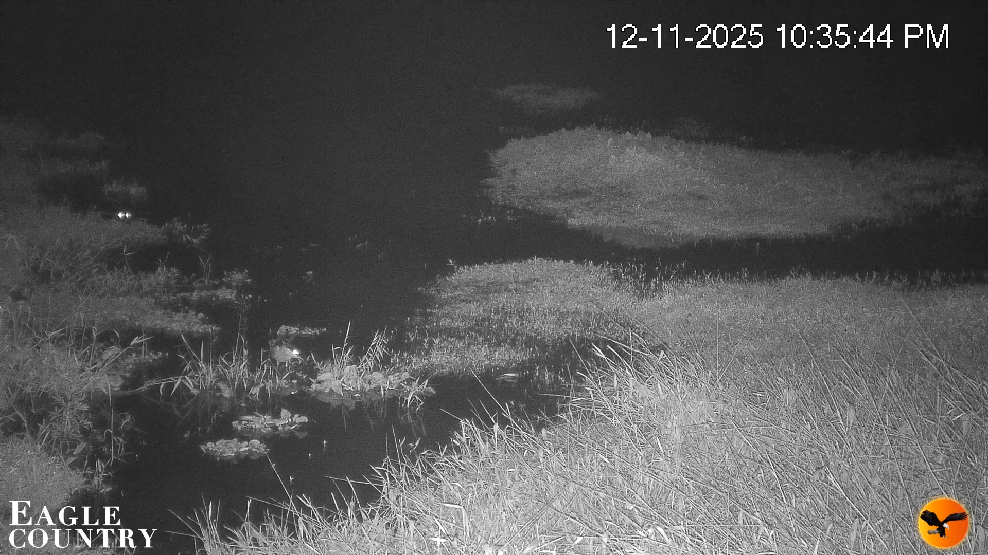 Snapshot of Southwest Florida River Wildlife Live Cams taken Dec 11, 2025, 11:19pm EST