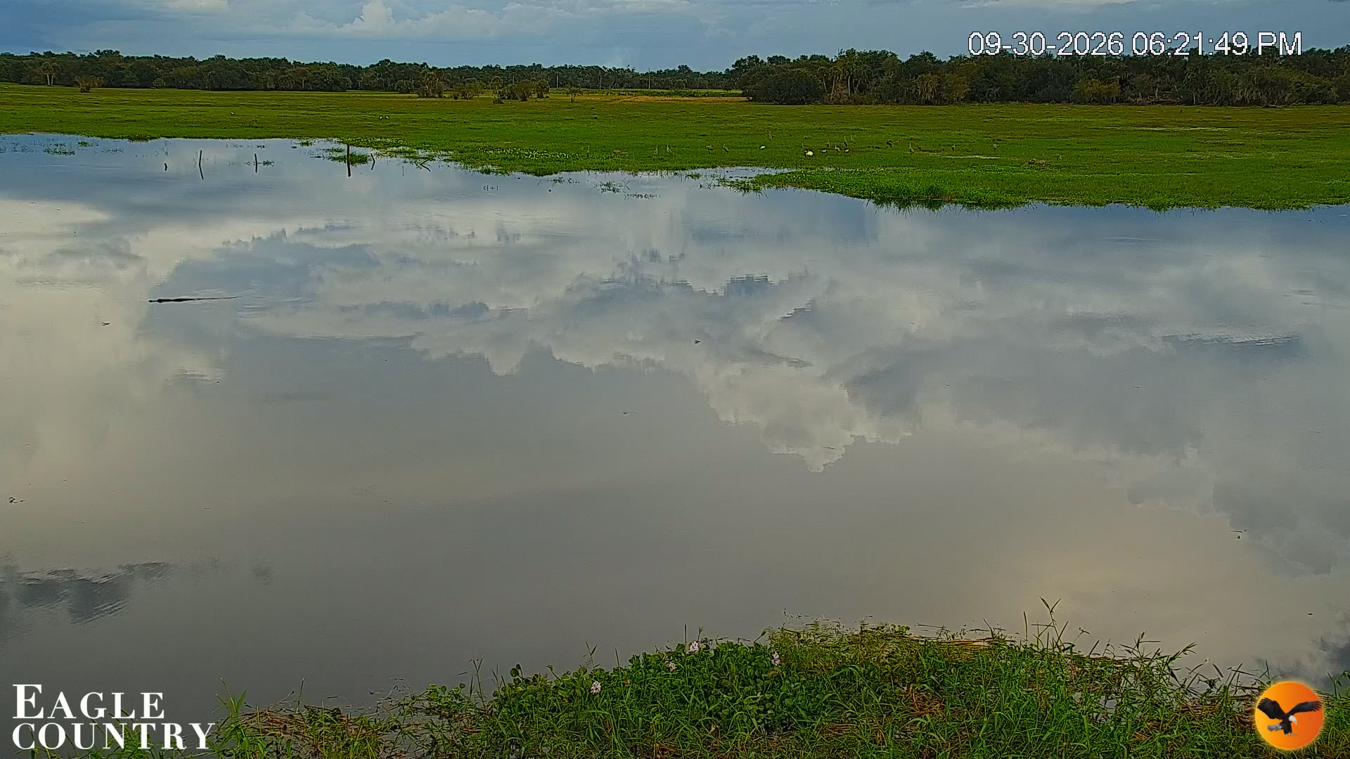 Snapshot of Southwest Florida River Wildlife Live Cams taken Sep 30, 2026, 6:22pm EDT