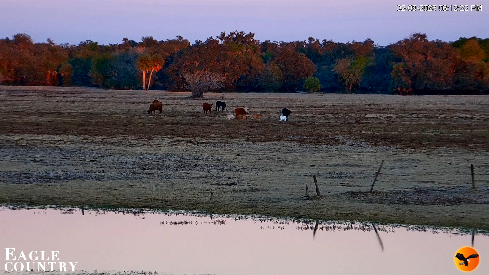 Snapshot of Southwest Florida River Wildlife Live Cams taken Feb 9, 2026, 6:13pm EST