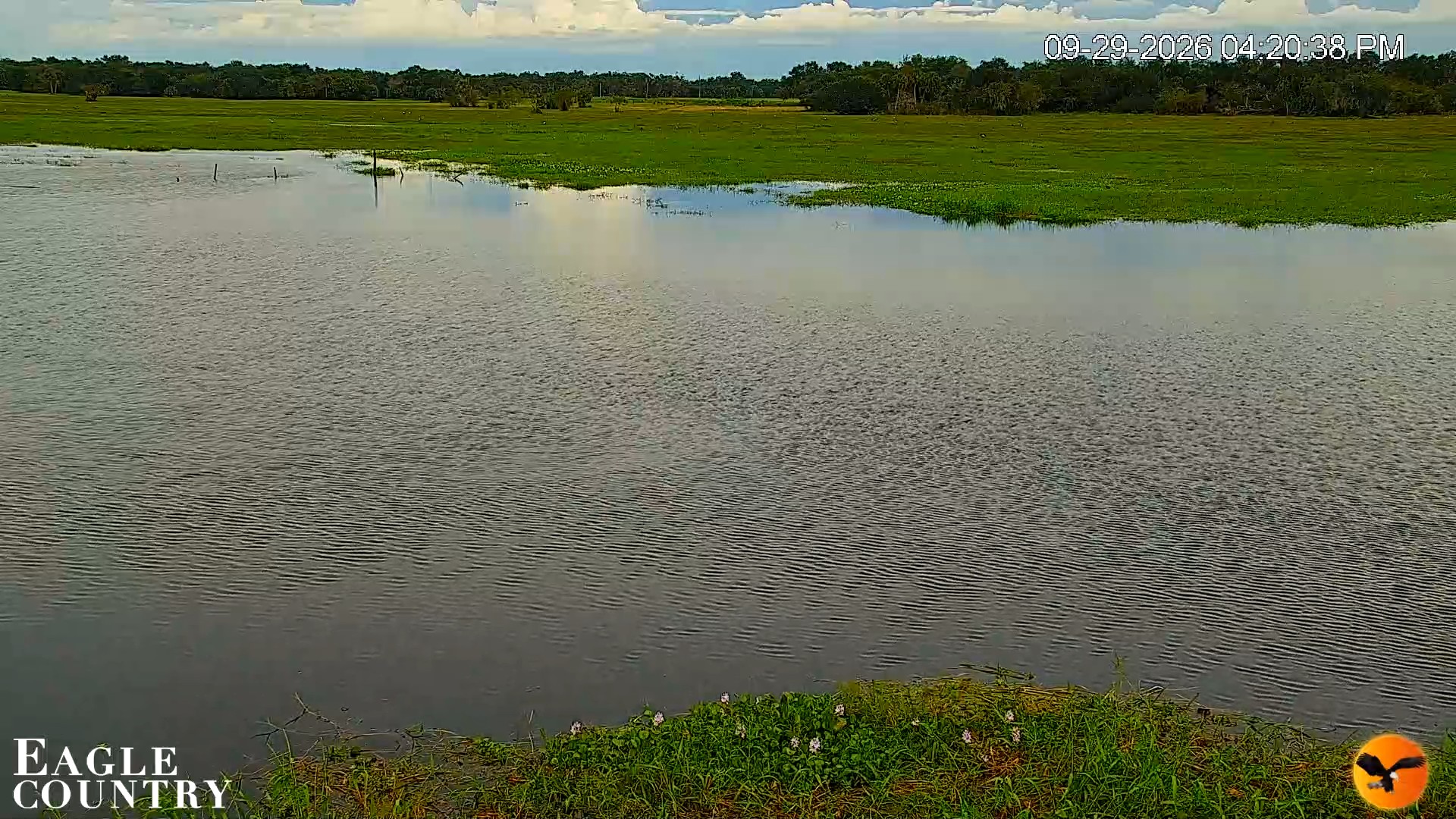 Snapshot of Southwest Florida River Wildlife Live Cams taken Sep 29, 2026, 4:21pm EDT