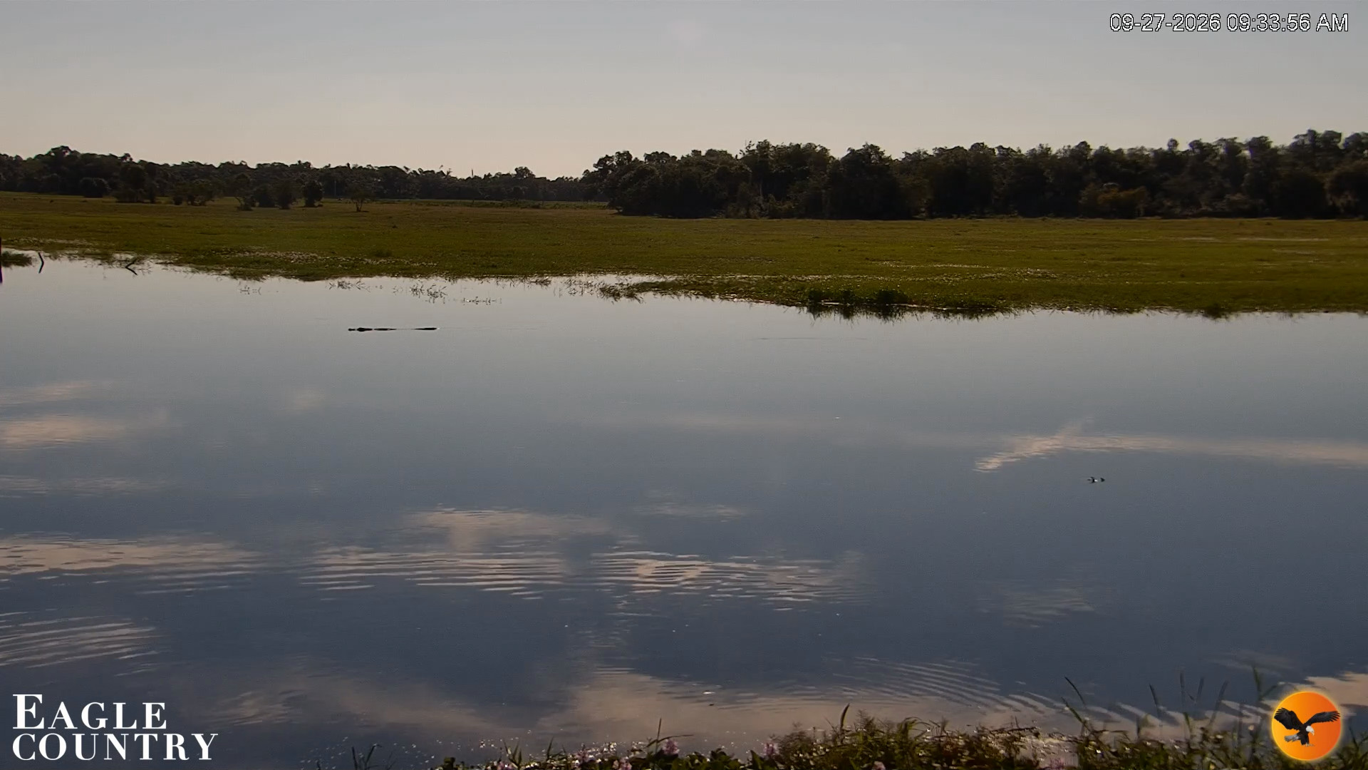 Snapshot of Southwest Florida River Wildlife Live Cams taken Sep 27, 2026, 9:34am EDT