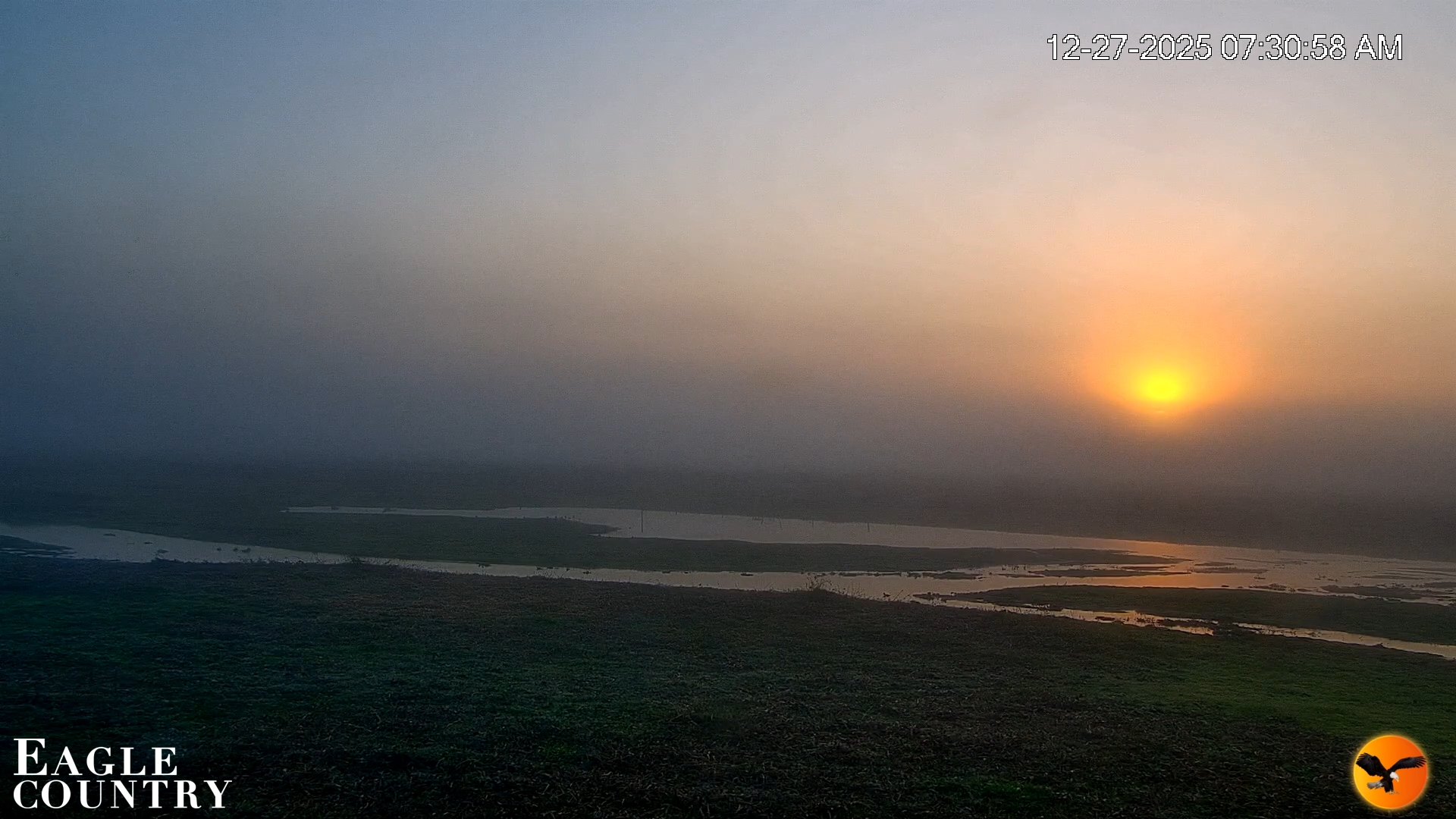 Snapshot of Southwest Florida River Wildlife Live Cams taken Dec 27, 2025, 7:31am EST