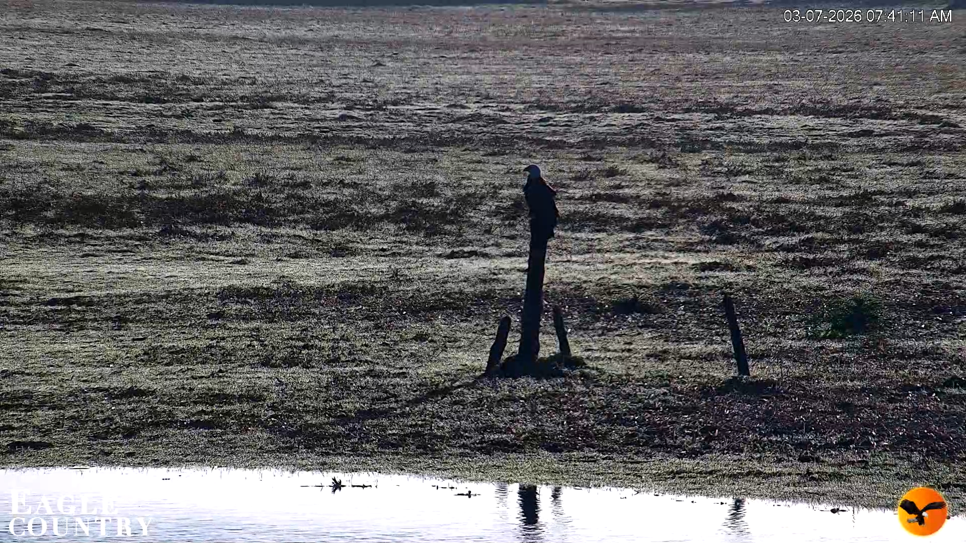 Snapshot of Southwest Florida River Wildlife Live Cams taken Mar 7, 2026, 7:41am EST