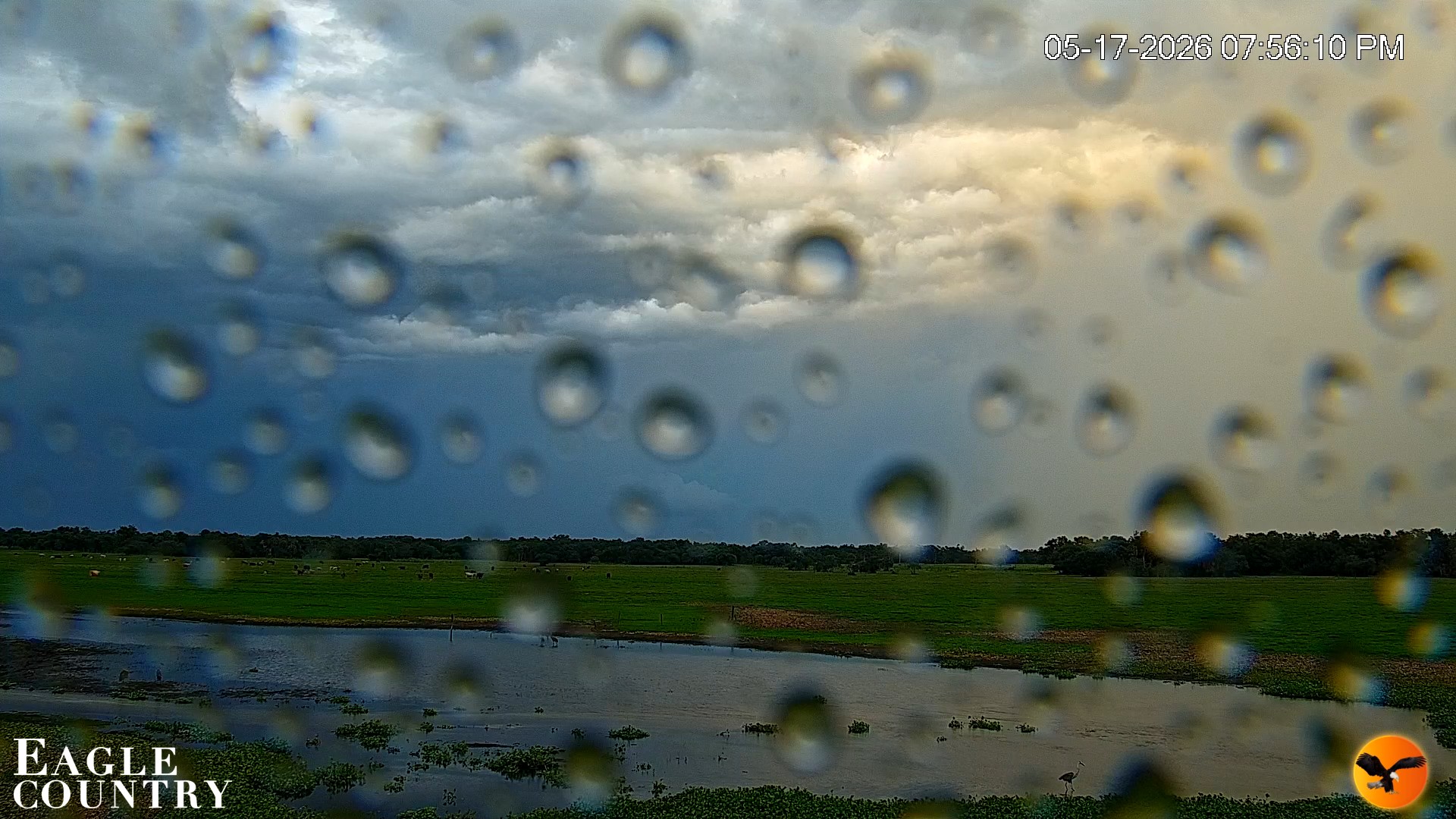 Snapshot of Southwest Florida River Wildlife Live Cams taken May 17, 2026, 7:57pm EDT