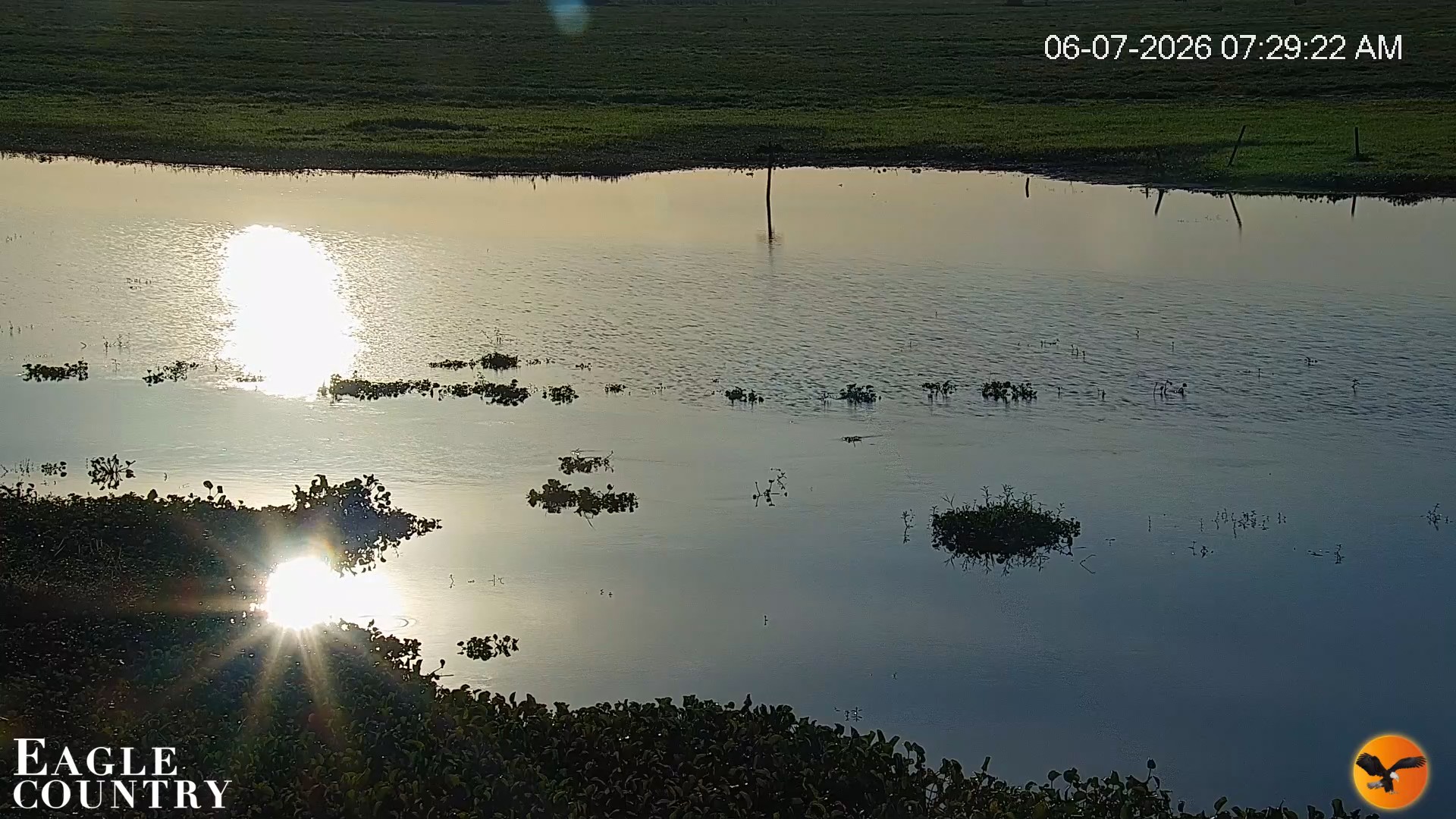 Snapshot of Southwest Florida River Wildlife Live Cams taken Jun 7, 2026, 7:30am EDT