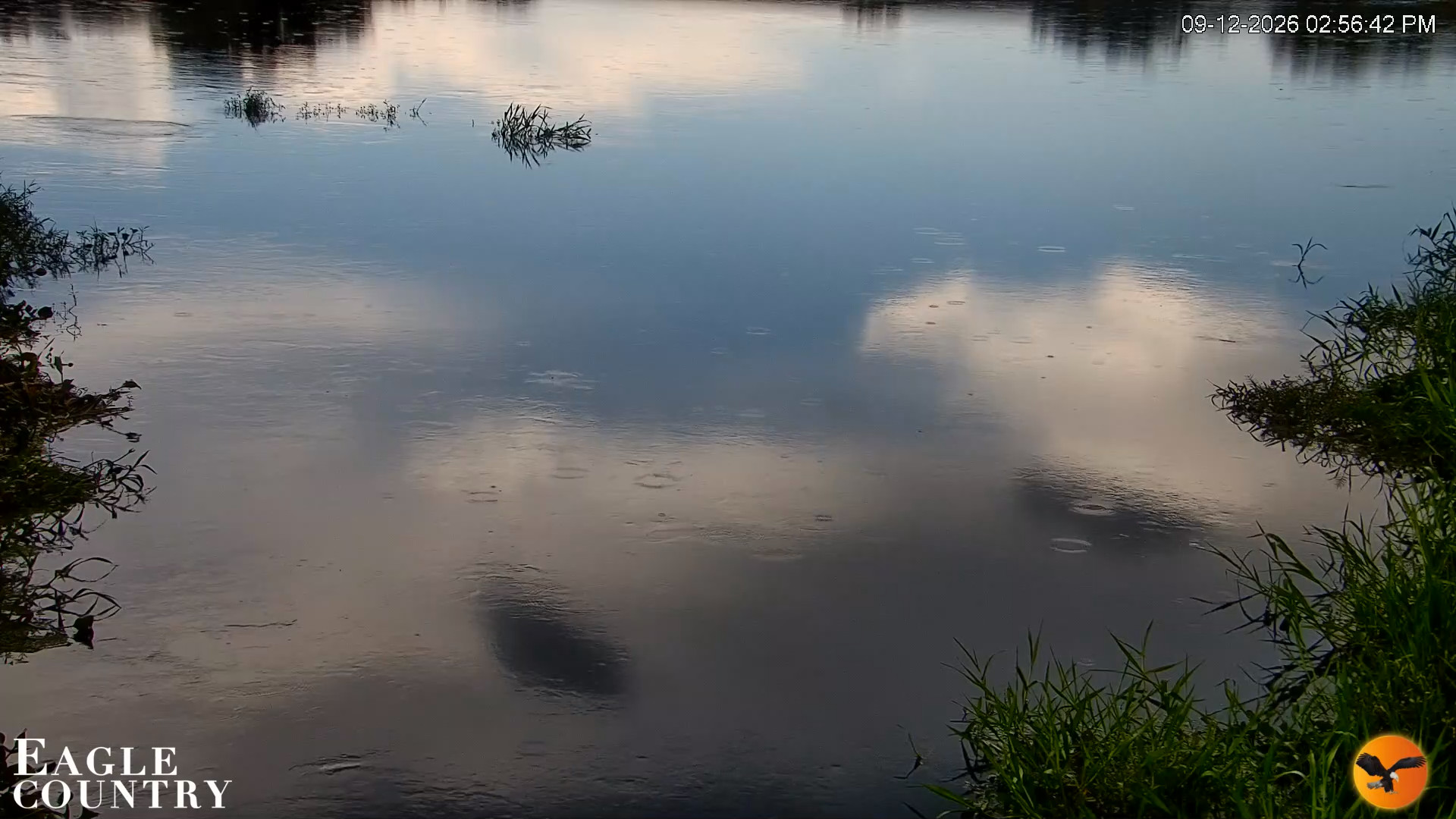 Snapshot of Southwest Florida River Wildlife Live Cams taken Sep 12, 2026, 2:57pm EDT