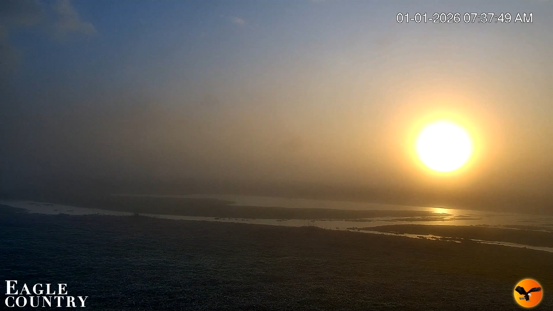 Snapshot of Southwest Florida River Wildlife Live Cams taken Jan 1, 2026, 7:38am EST