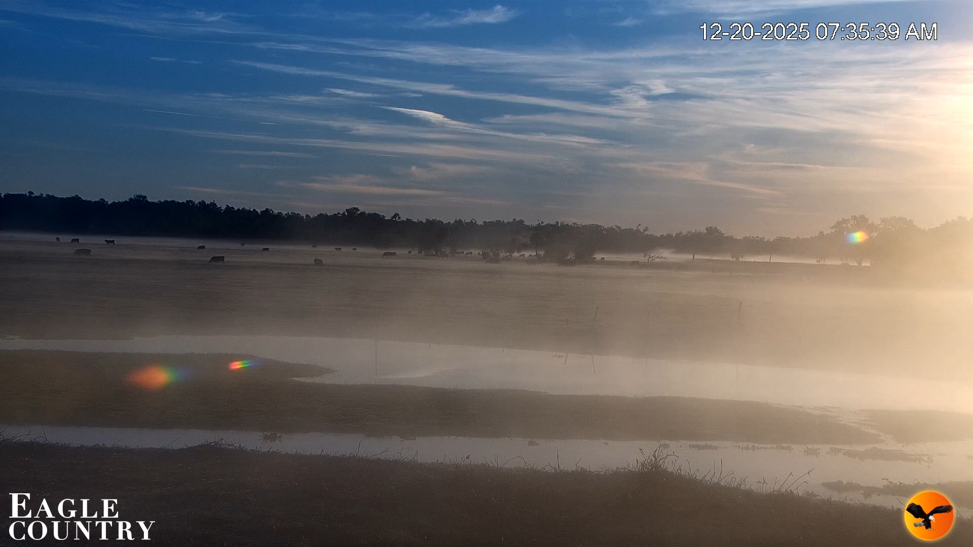 Snapshot of Southwest Florida River Wildlife Live Cams taken Dec 20, 2025, 7:35am EST