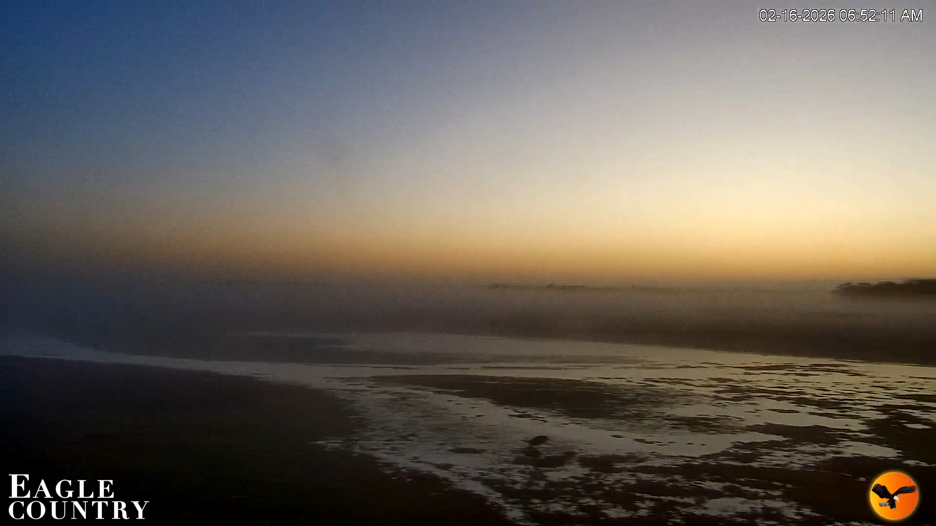 Snapshot of Southwest Florida River Wildlife Live Cams taken Feb 16, 2026, 6:53am EST