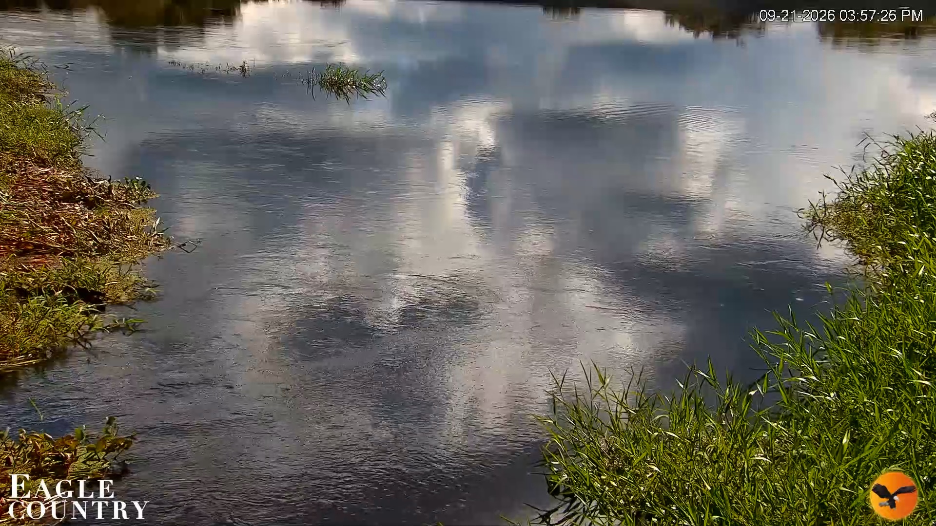 Snapshot of Southwest Florida River Wildlife Live Cams taken Sep 21, 2026, 3:58pm EDT